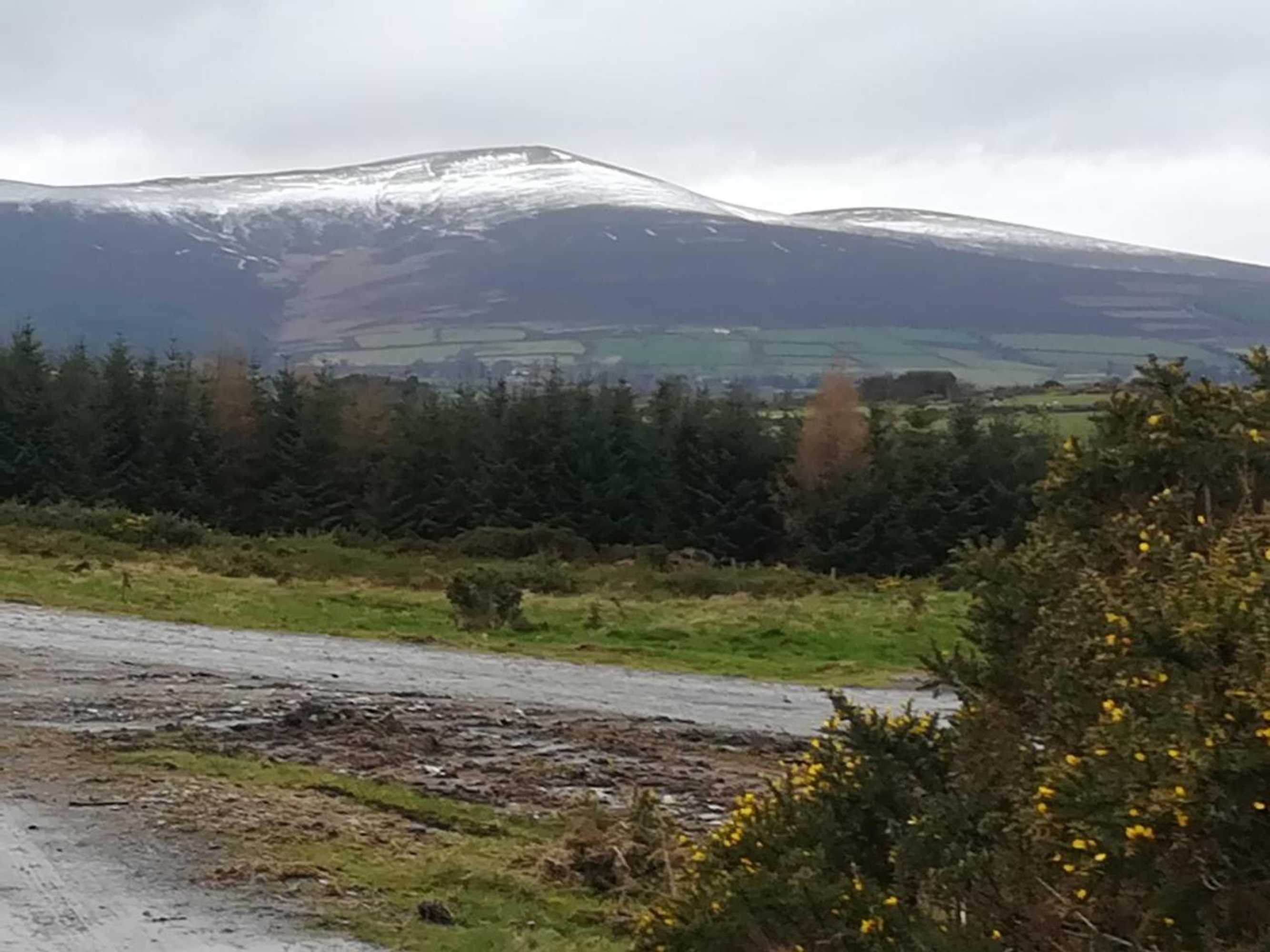 Gift card for Relaxing Space.