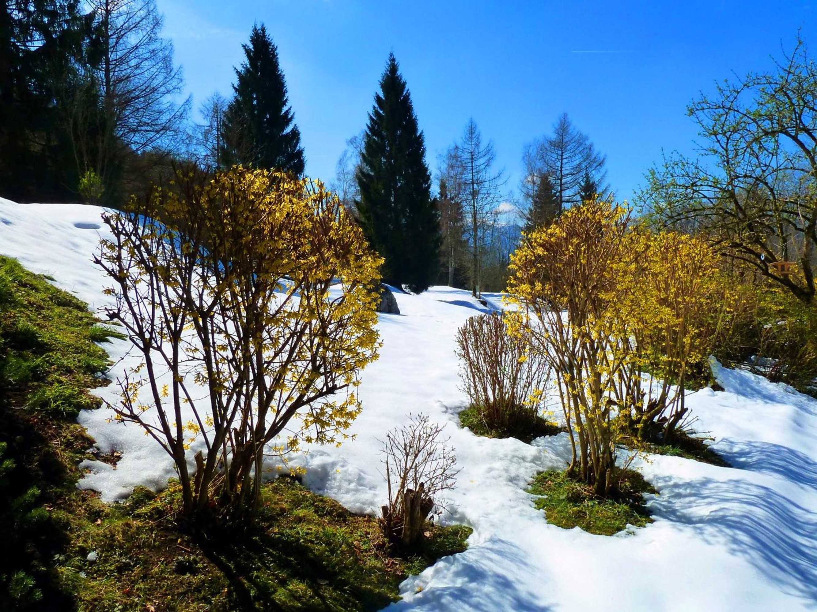 Gift card for Romantik Hotel Die Gersberg Alm Gift card for Romantik Hotel Die Gersberg Alm