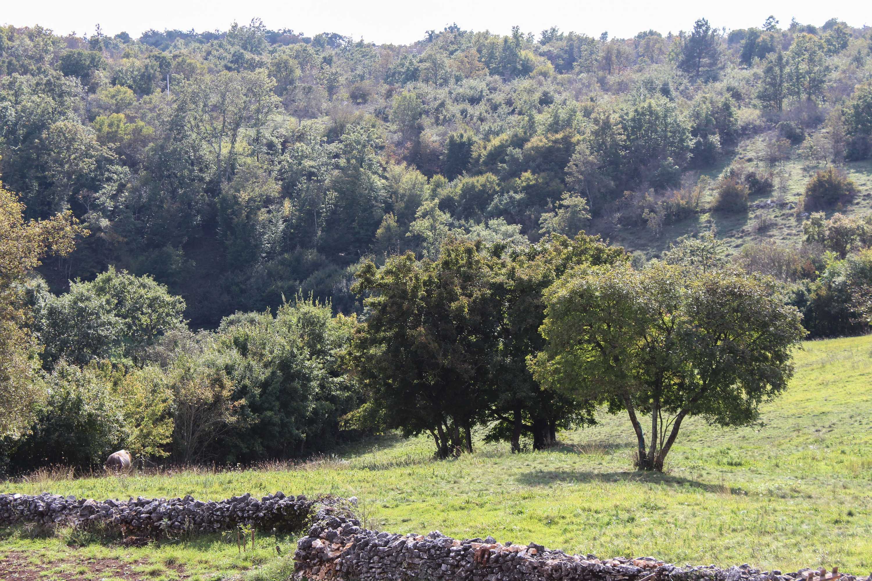 Gift card for Villa Arton Heated Swimming-Pool