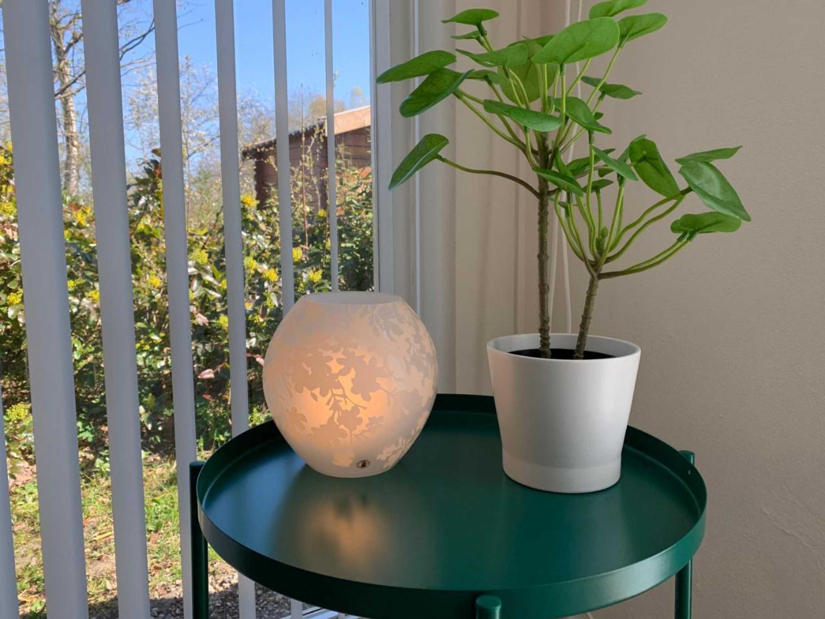 Gift card for Jelly's Hoeve (adults Only)