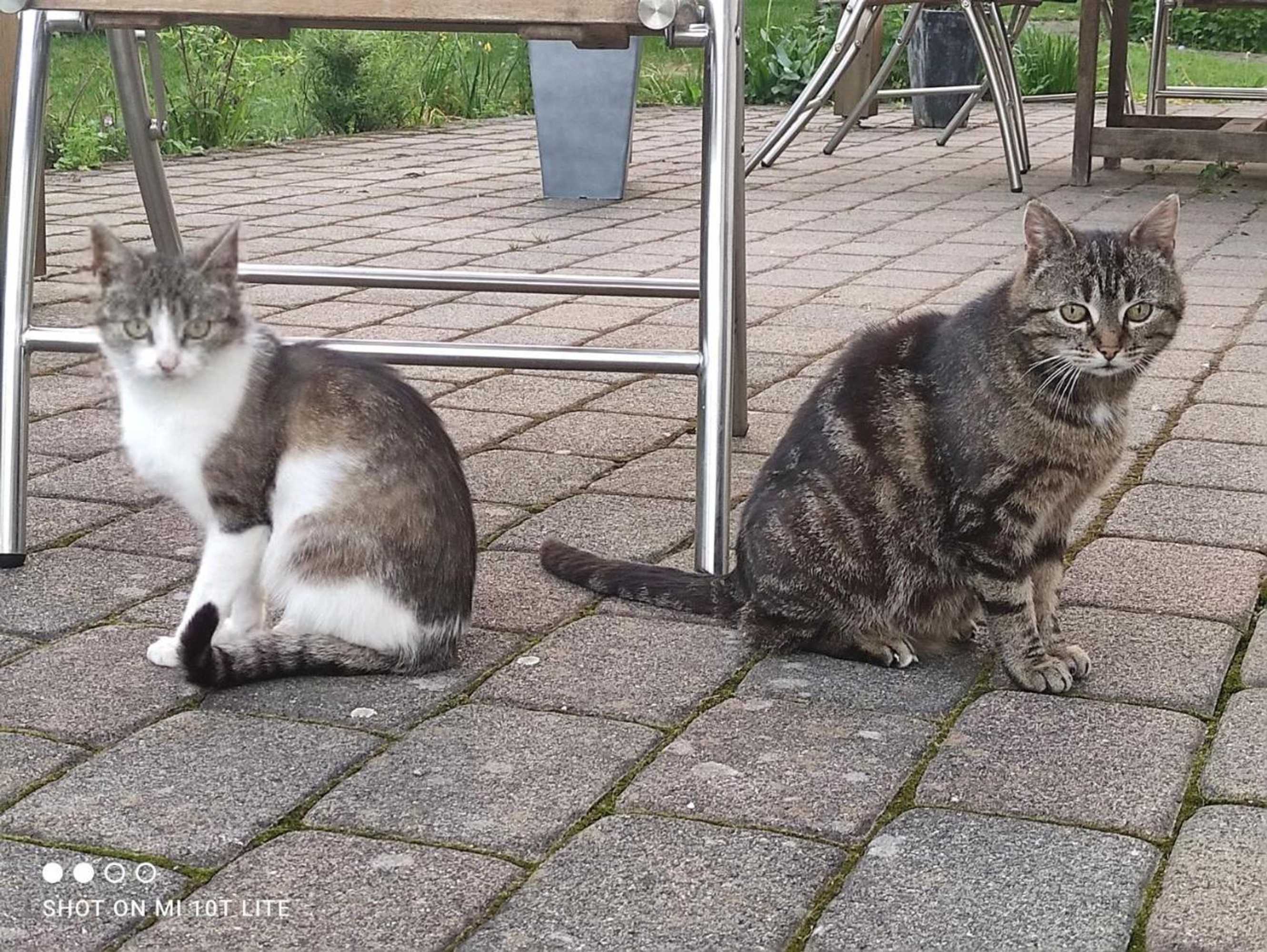 Gift card for Gästehaus Kuck