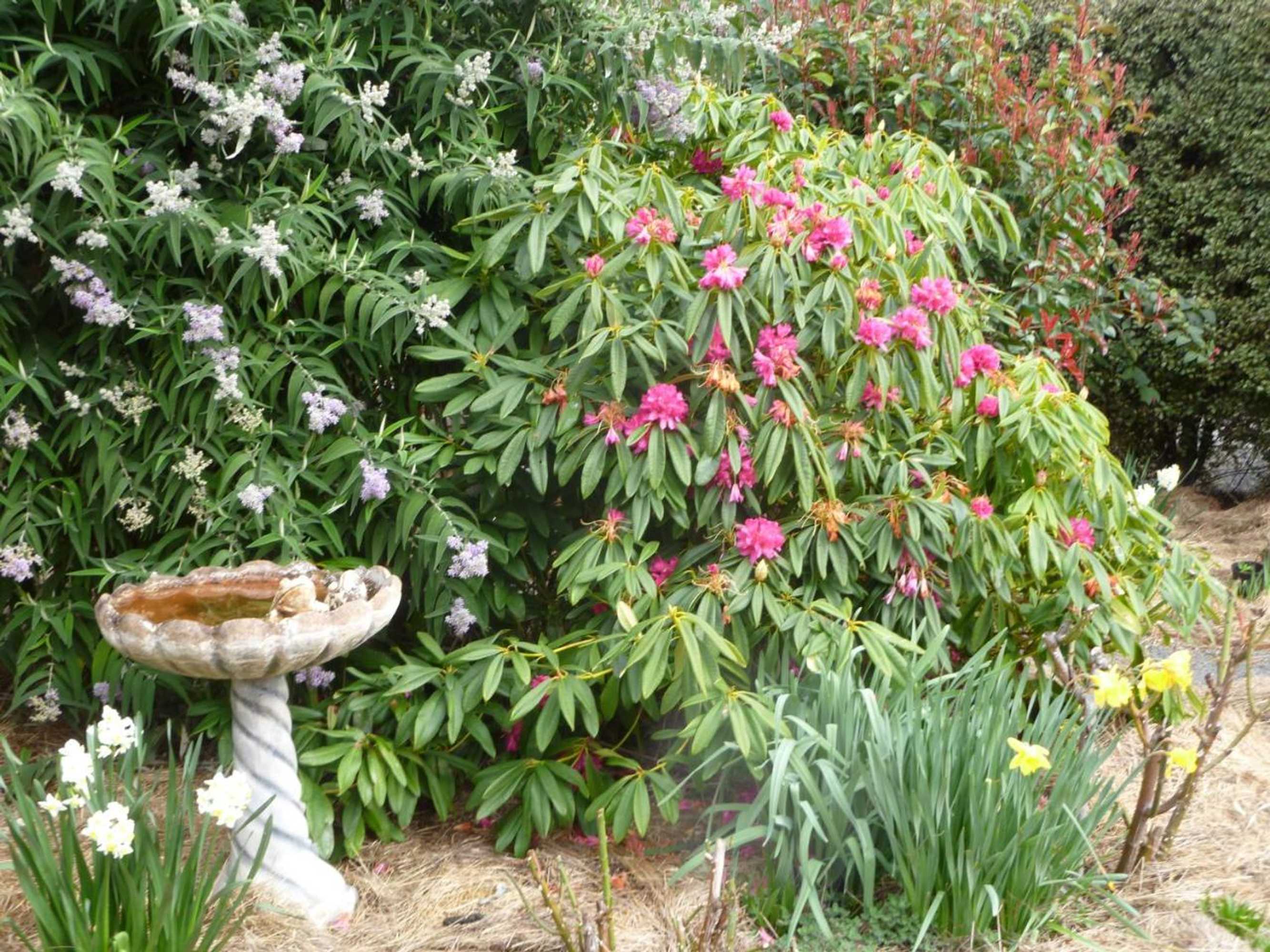 Gift card for Donalea Bed & Breakfast