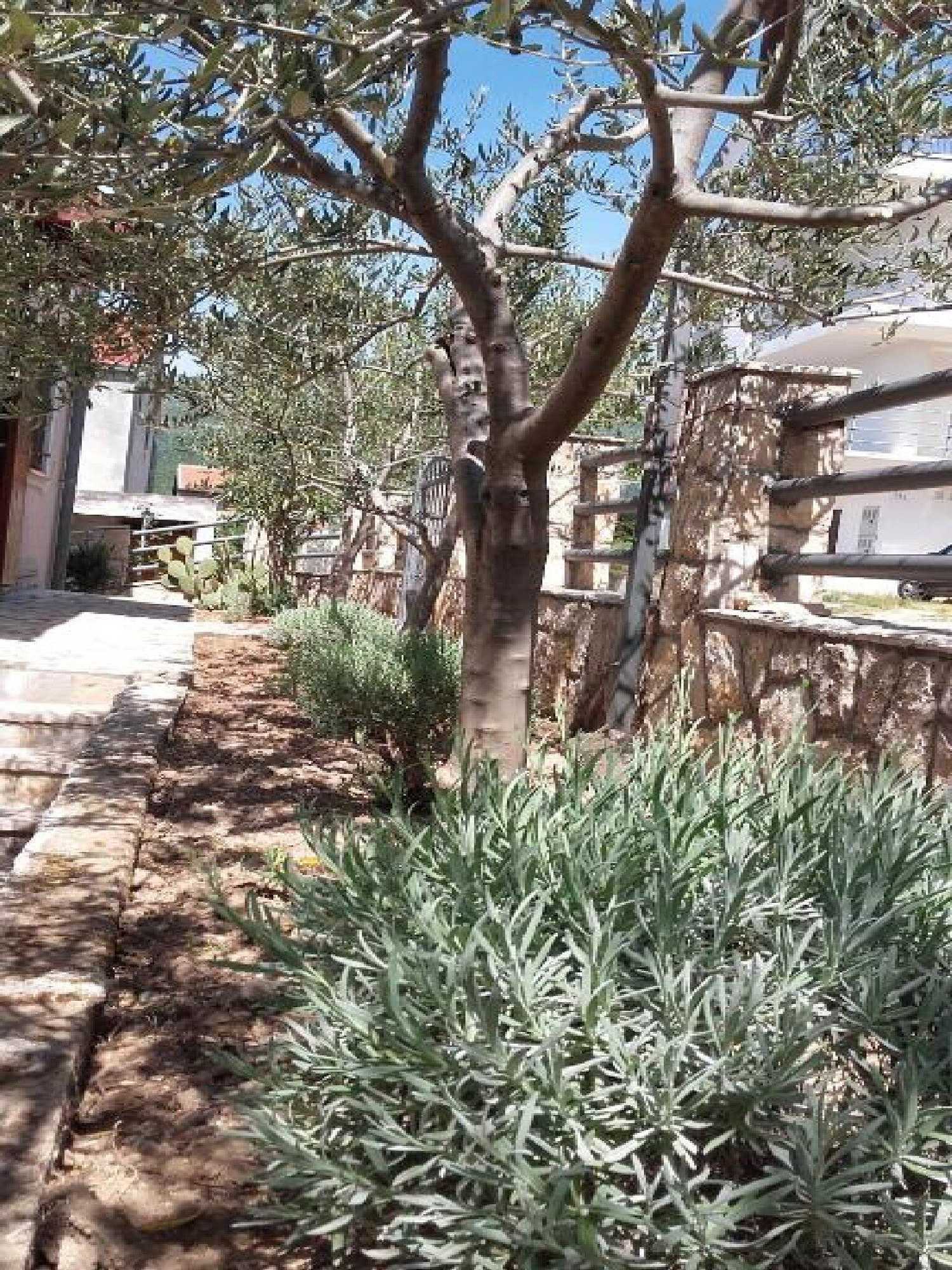 Gift card for Apartments Smilje & Maslina