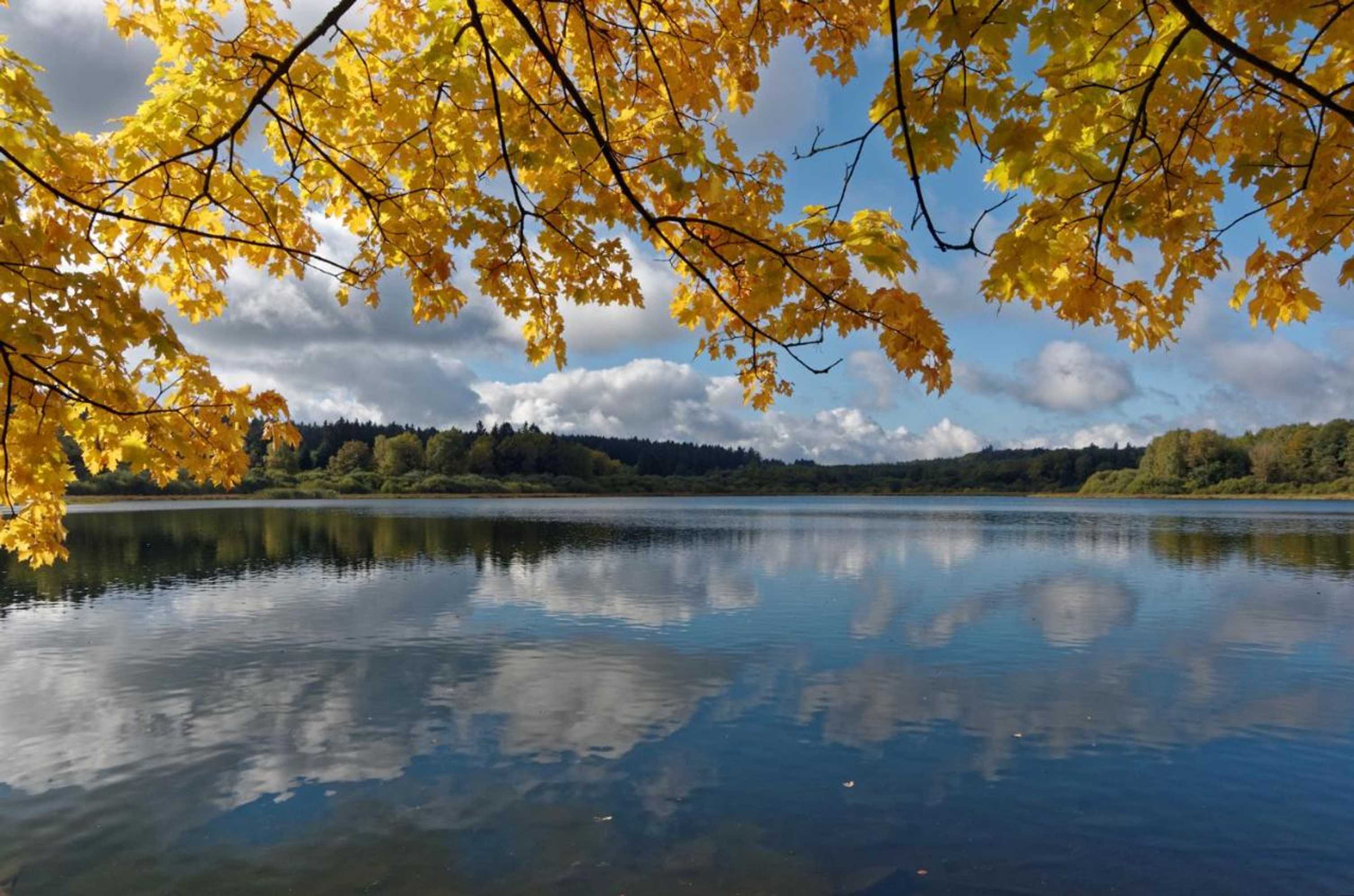 Gift card for Gasthof Zum Seeweiher