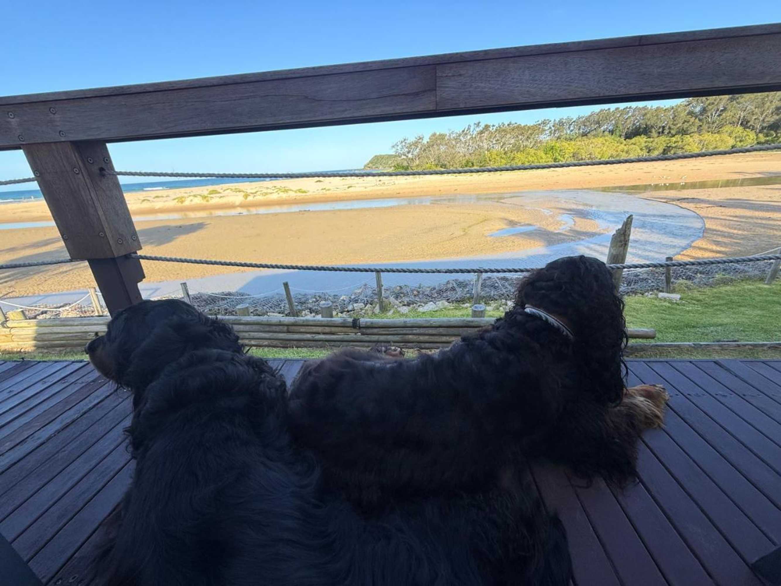 Gift card for The Beach Arrawarra