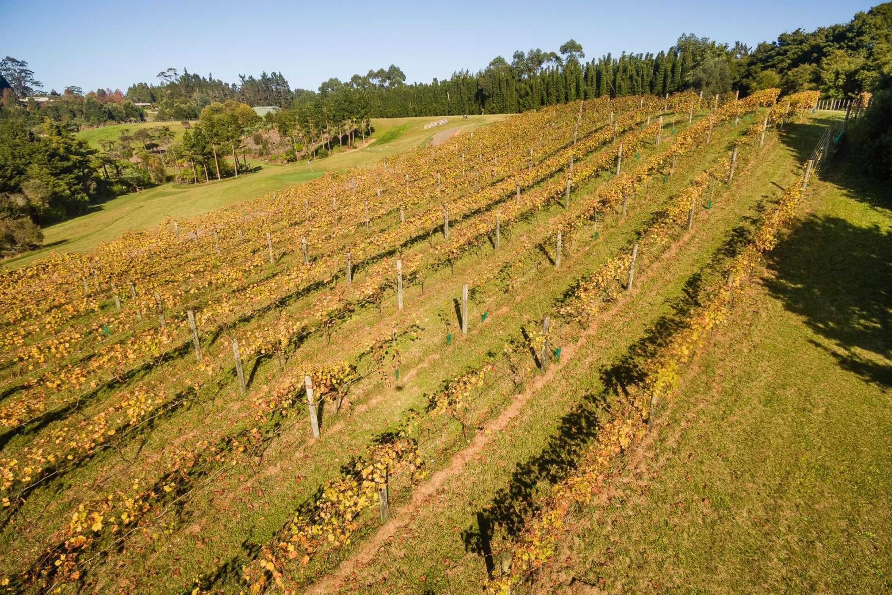 Gift card for Puketotara Lodge