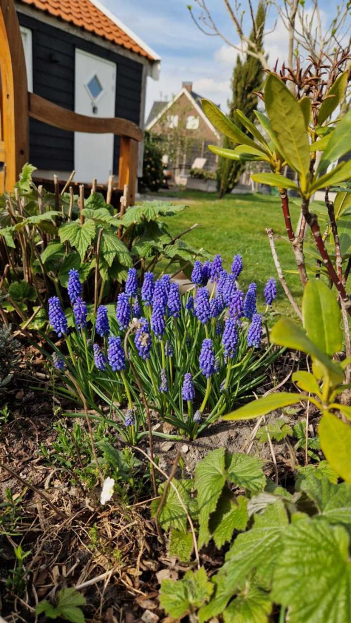 Gift card for Bed en Breakfast Donna