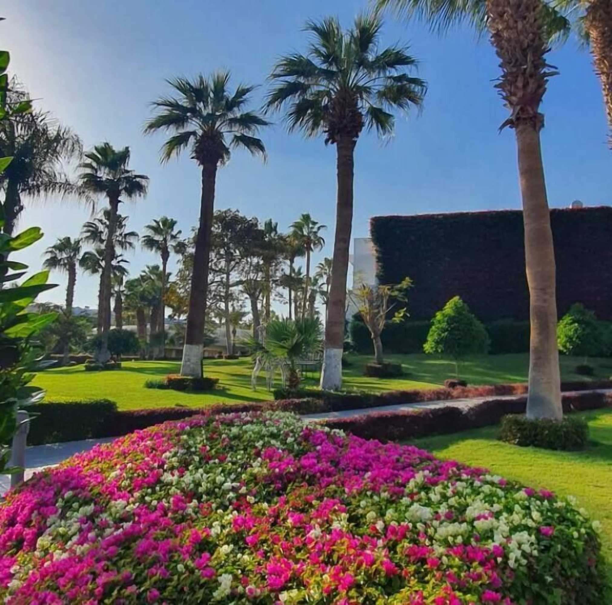 Gift card for Monte Carlo Sharm Resort & Spa Gift card for Monte Carlo Sharm Resort & Spa