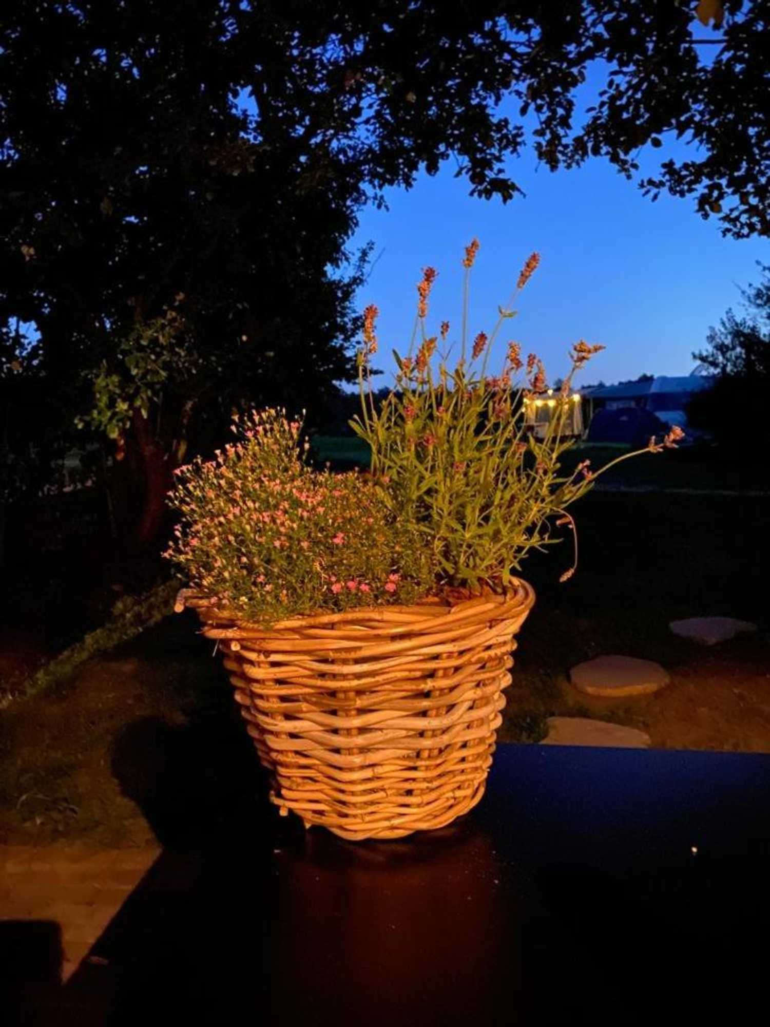 Gift card for Erve Punte