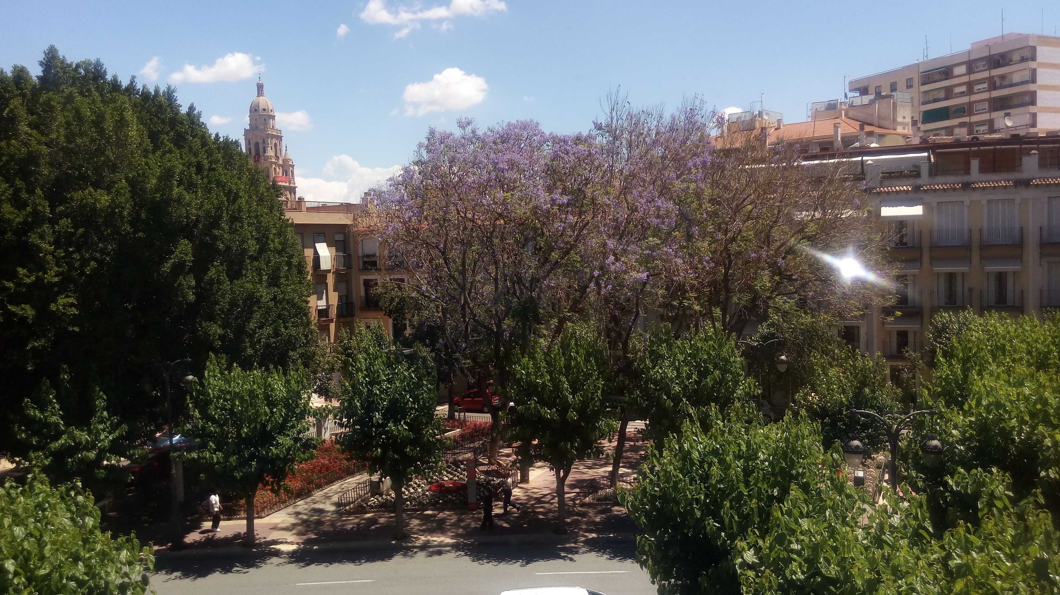 Gift card for Pensión Segura