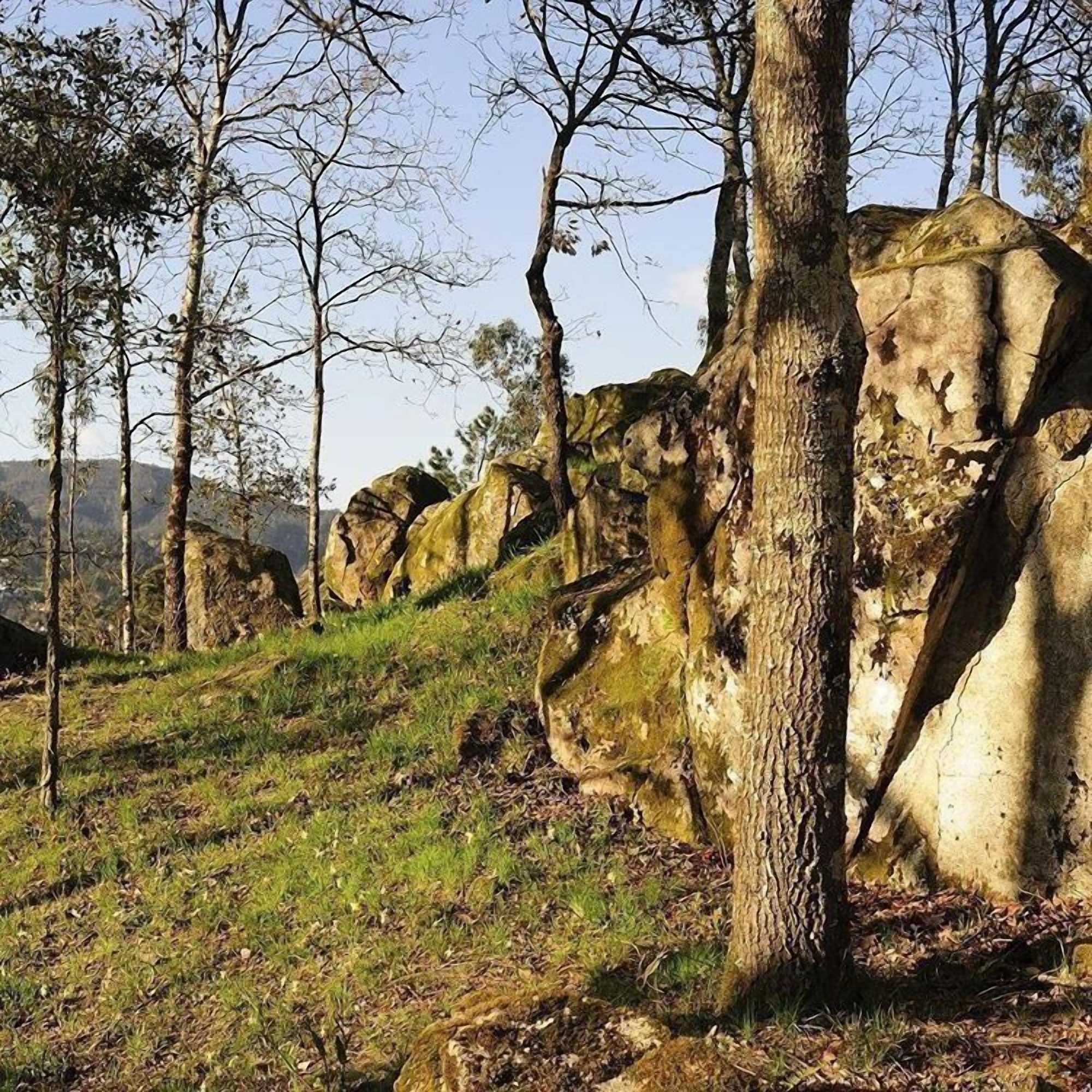 Gift card for Quinta do Pomar Maior