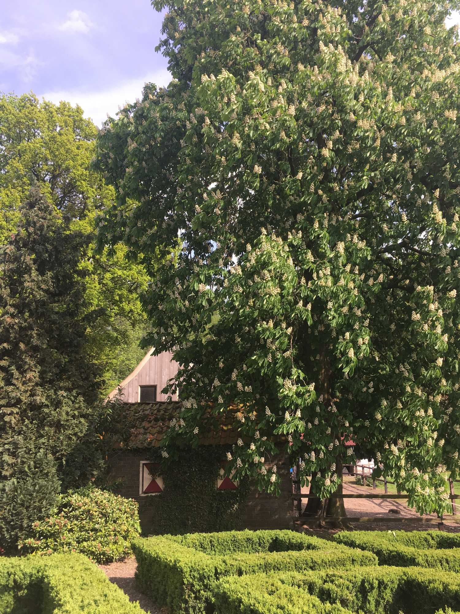 Gift card for Erve Het Roolvink