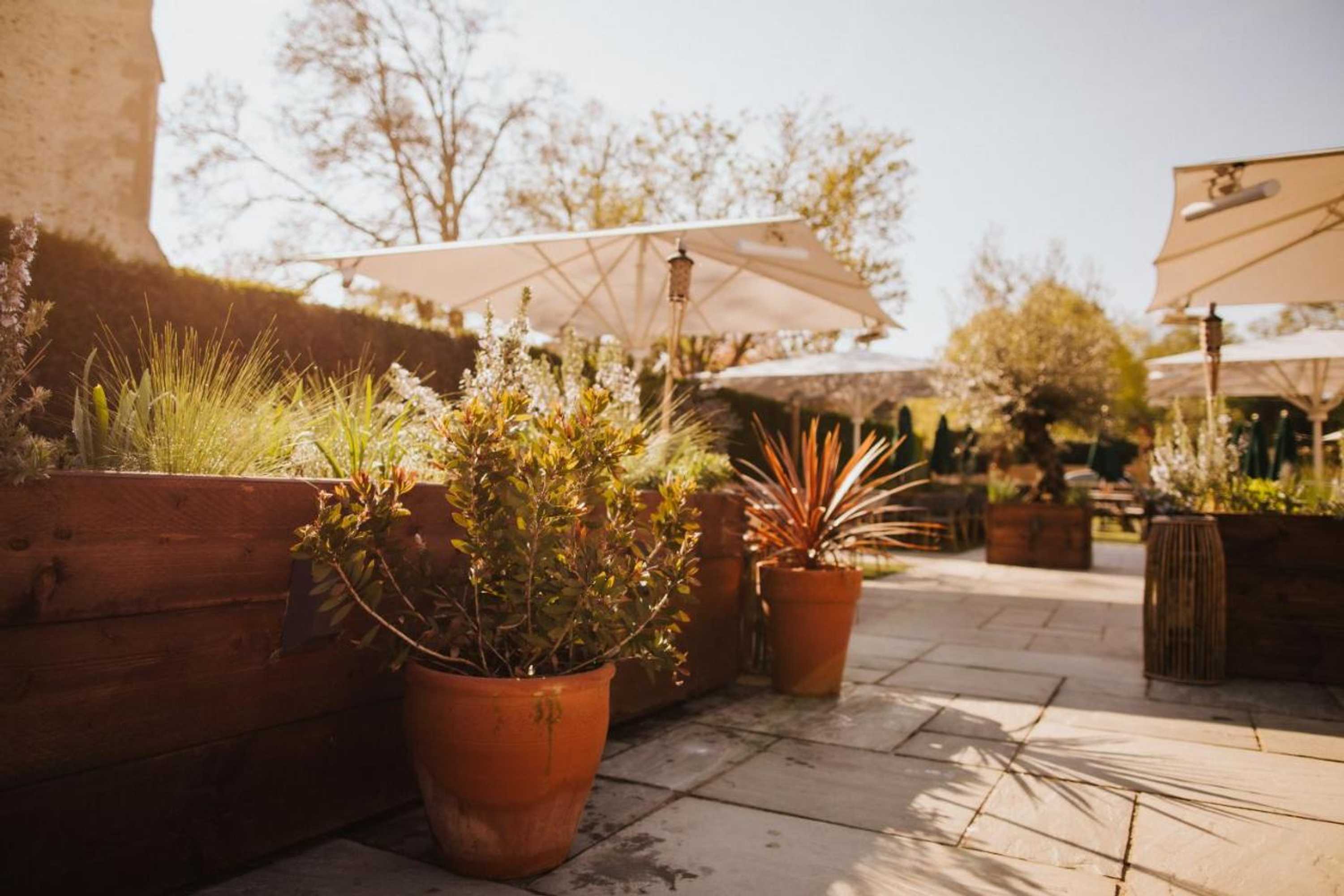 Gift card for The Fox at Willian