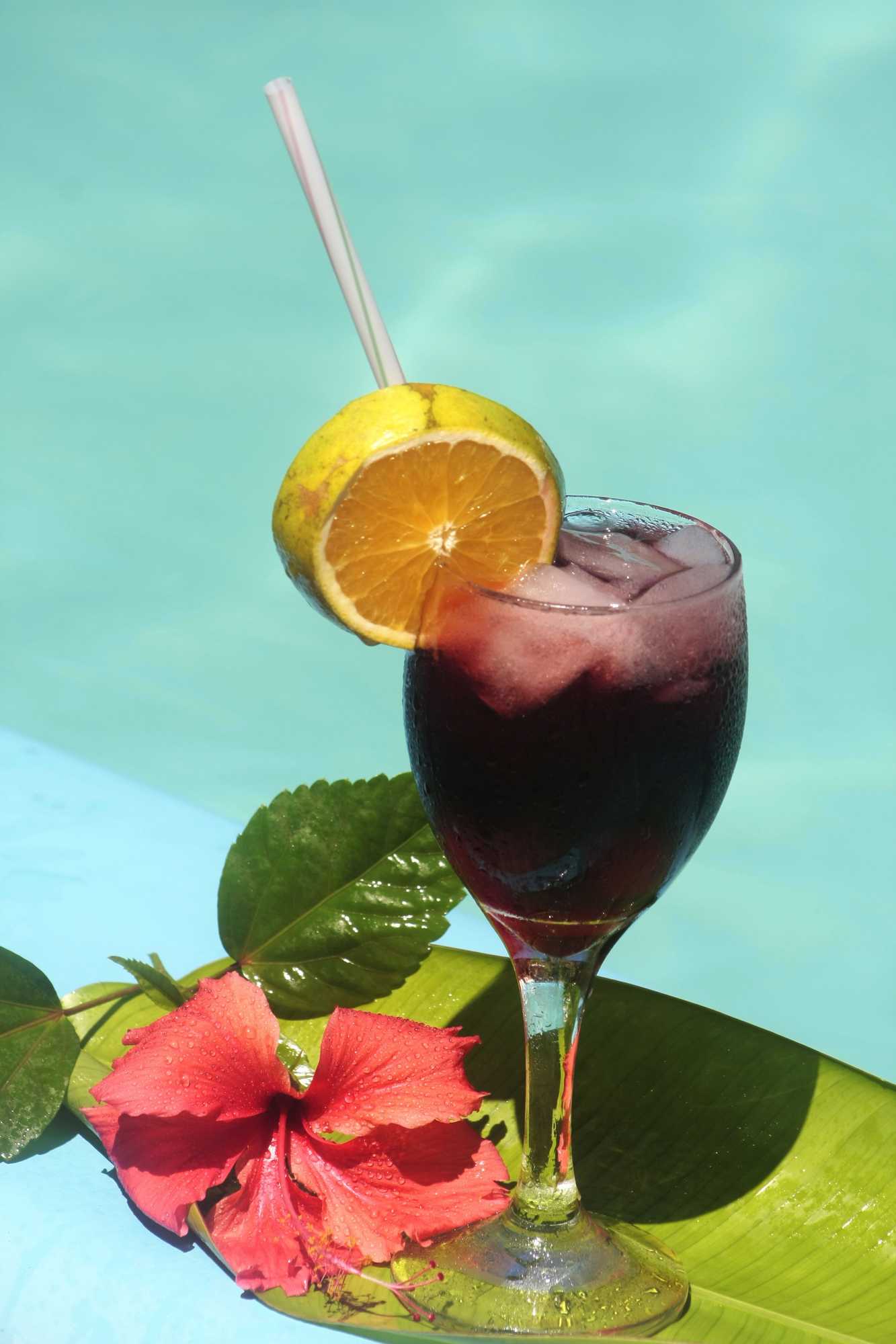 Gift card for Pousada Pedra Torta