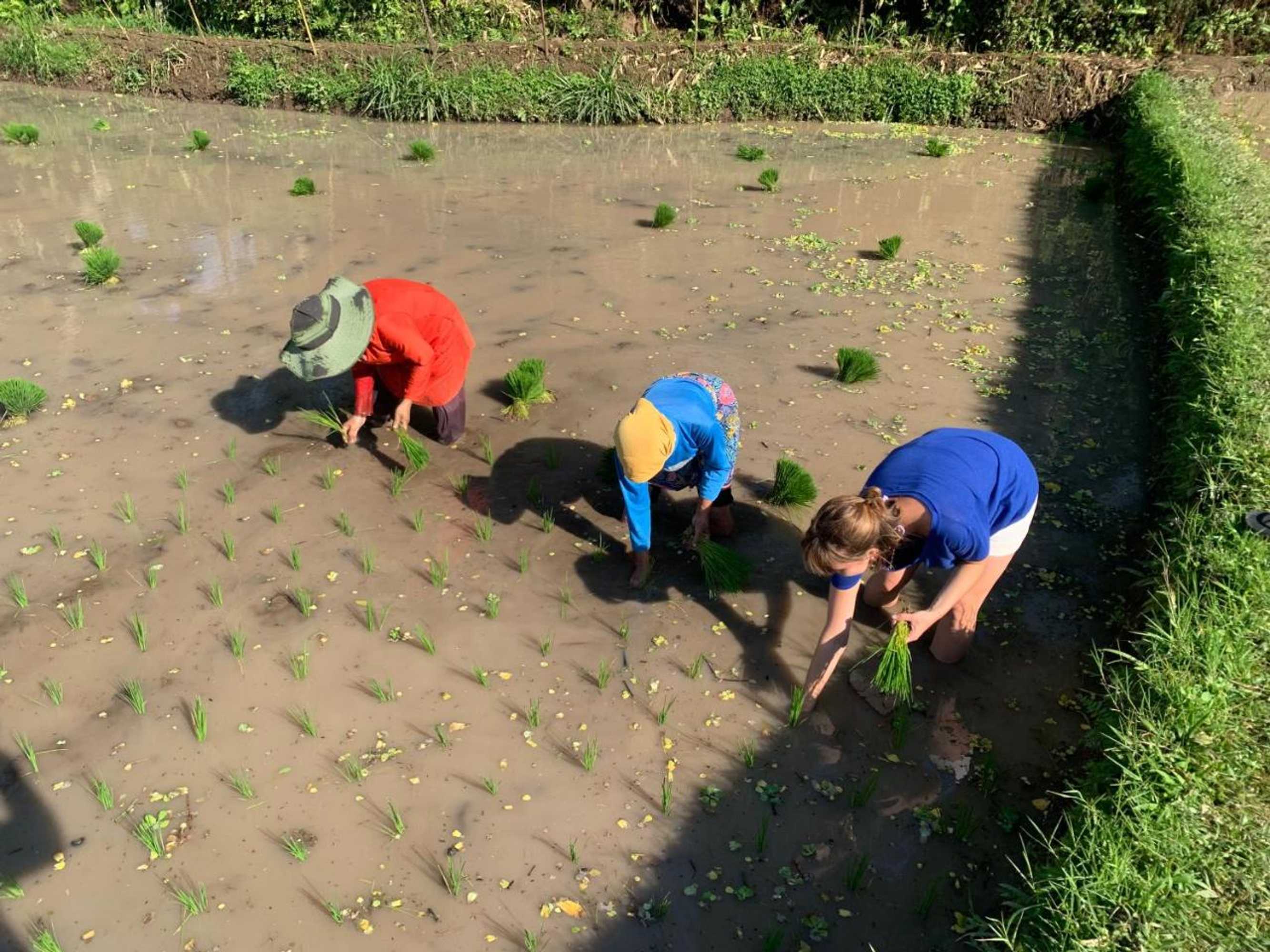 Gift card for Farmer Homestay