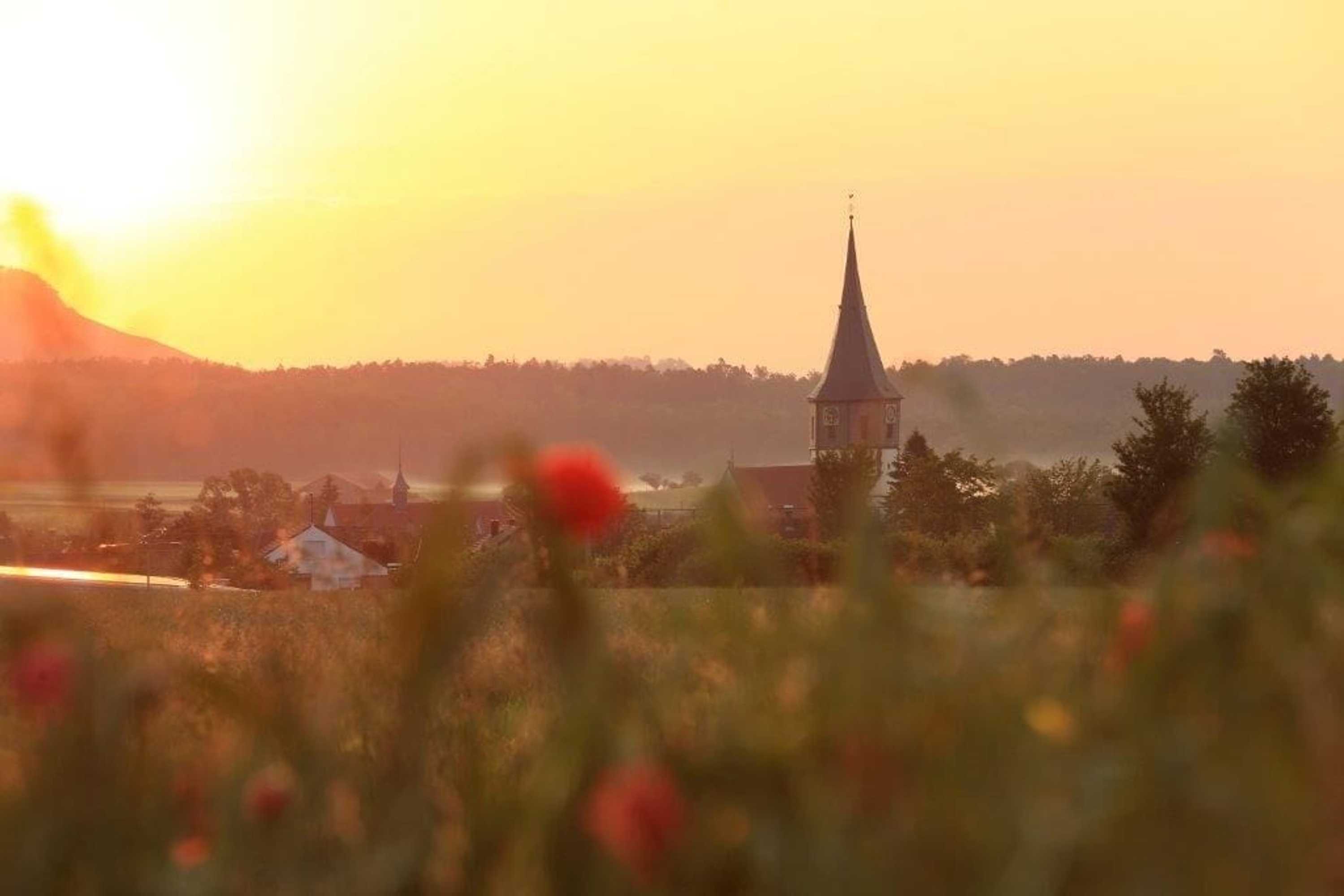 Gift card for Landidyll Hotel Lamm