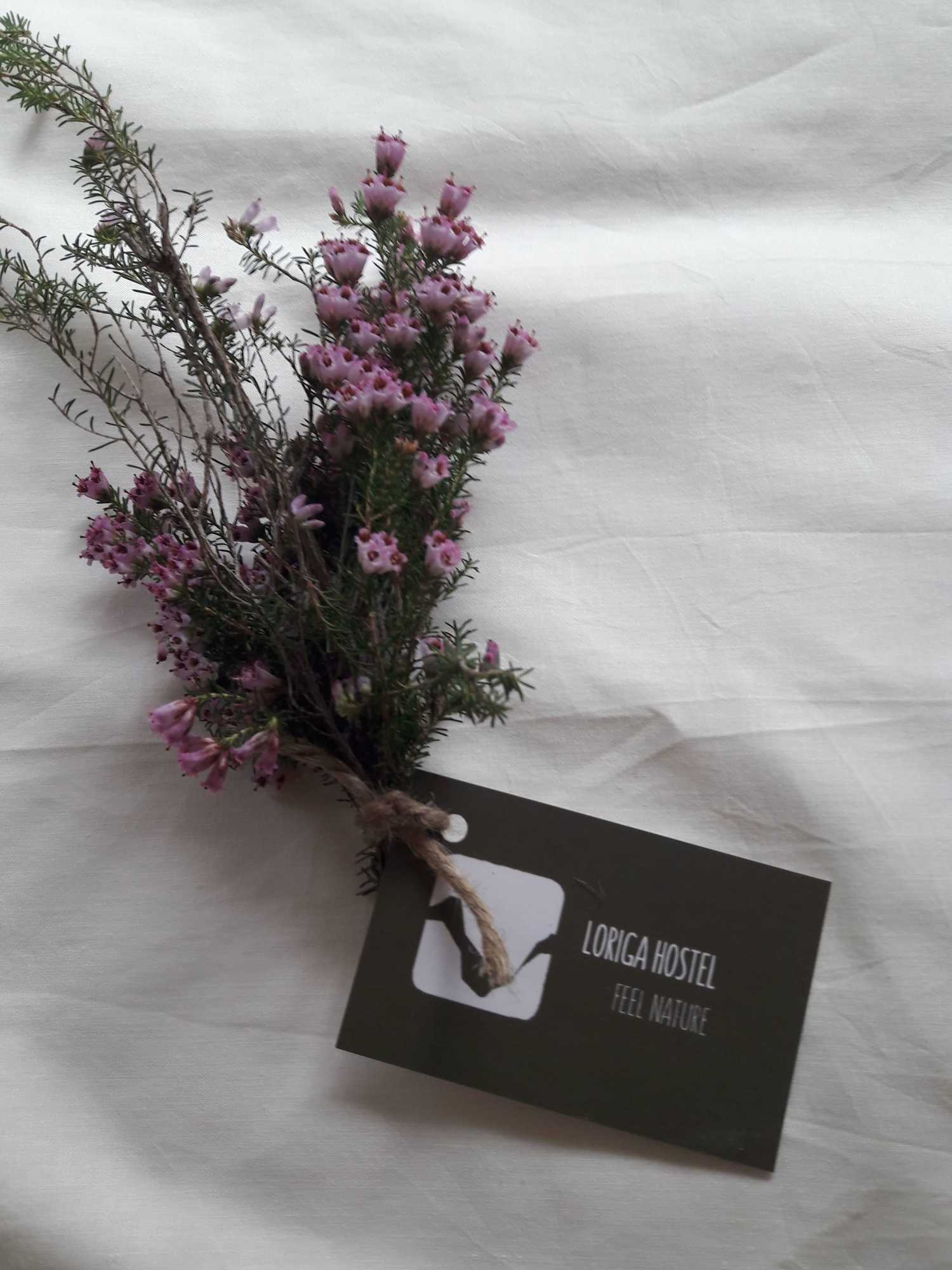 Gift card for Loriga Feel Nature- Hostel Gift card for Loriga Feel Nature- Hostel