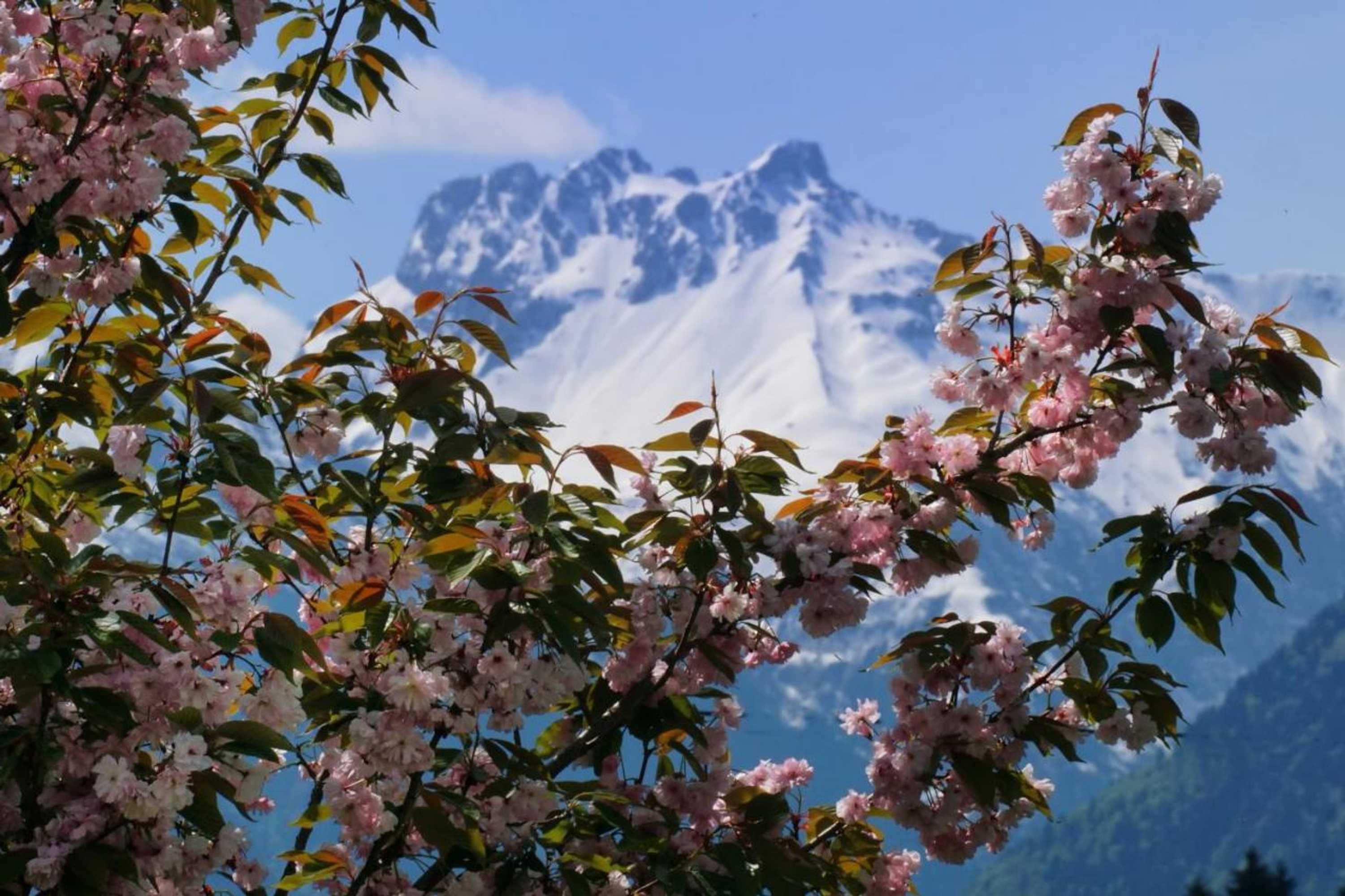 Gift card for Panorama Hotel Kaserer