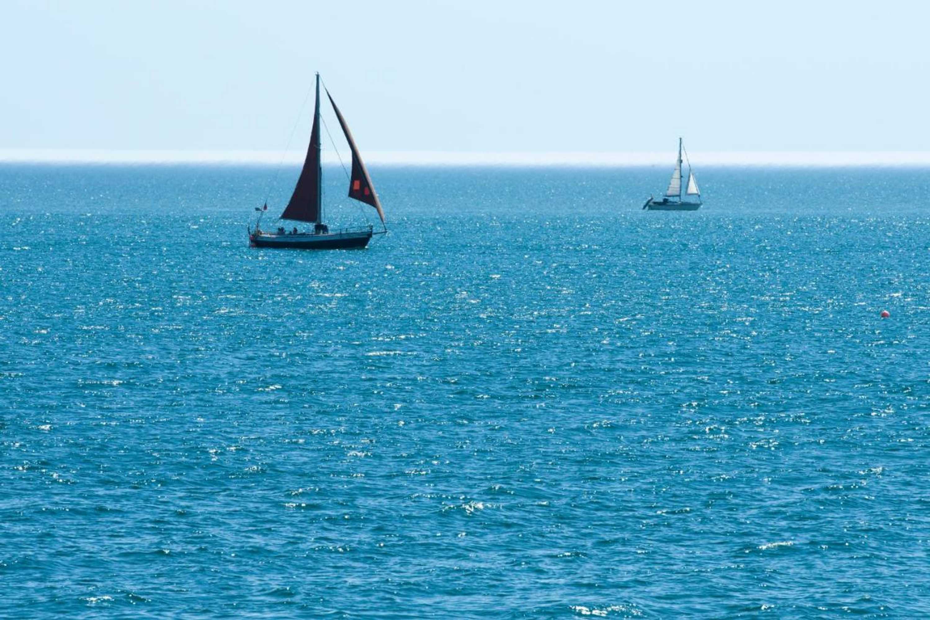 Gift card for Lamb's Knees