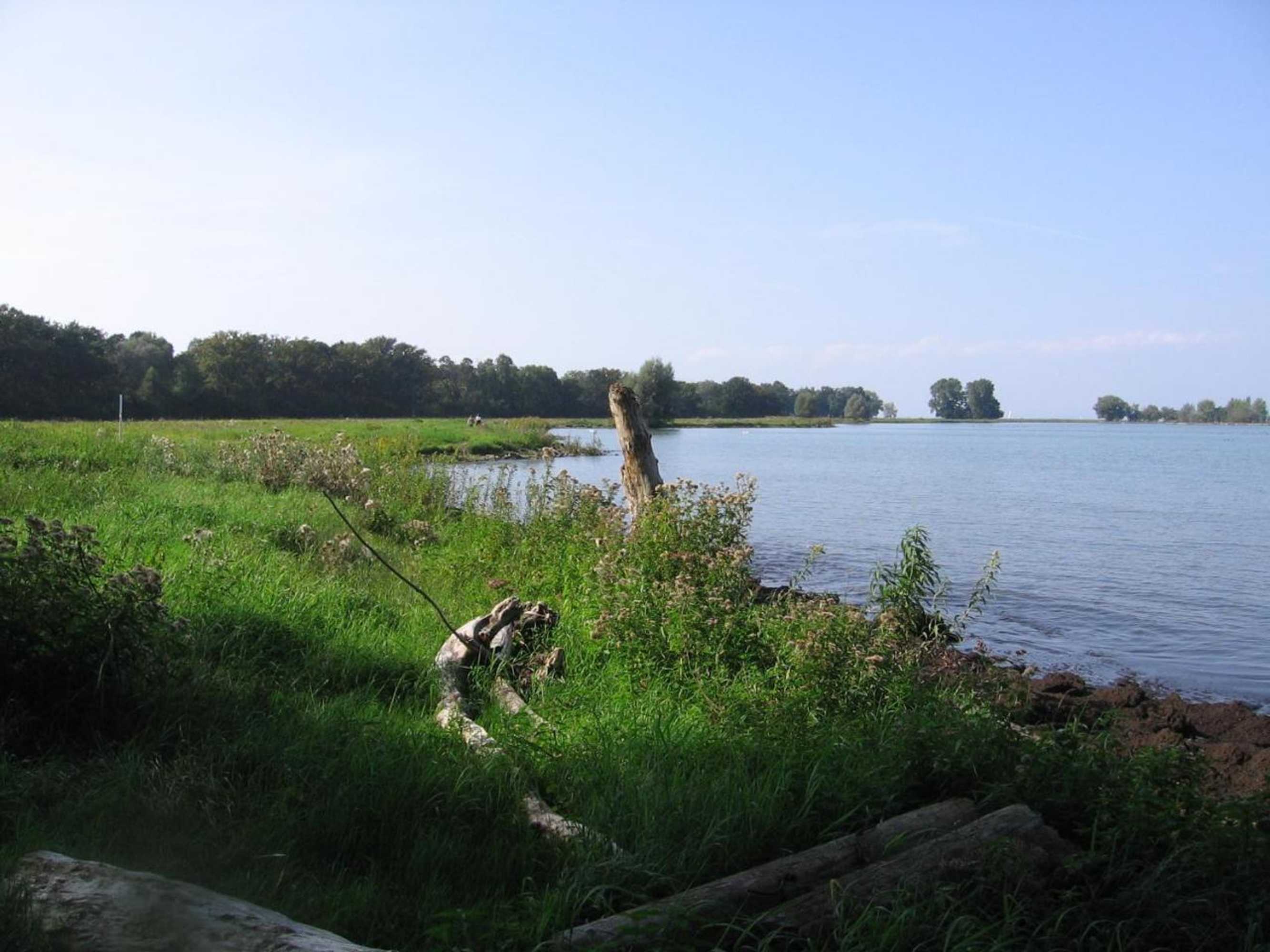 Gift card for Das Smarte Hotel Garni