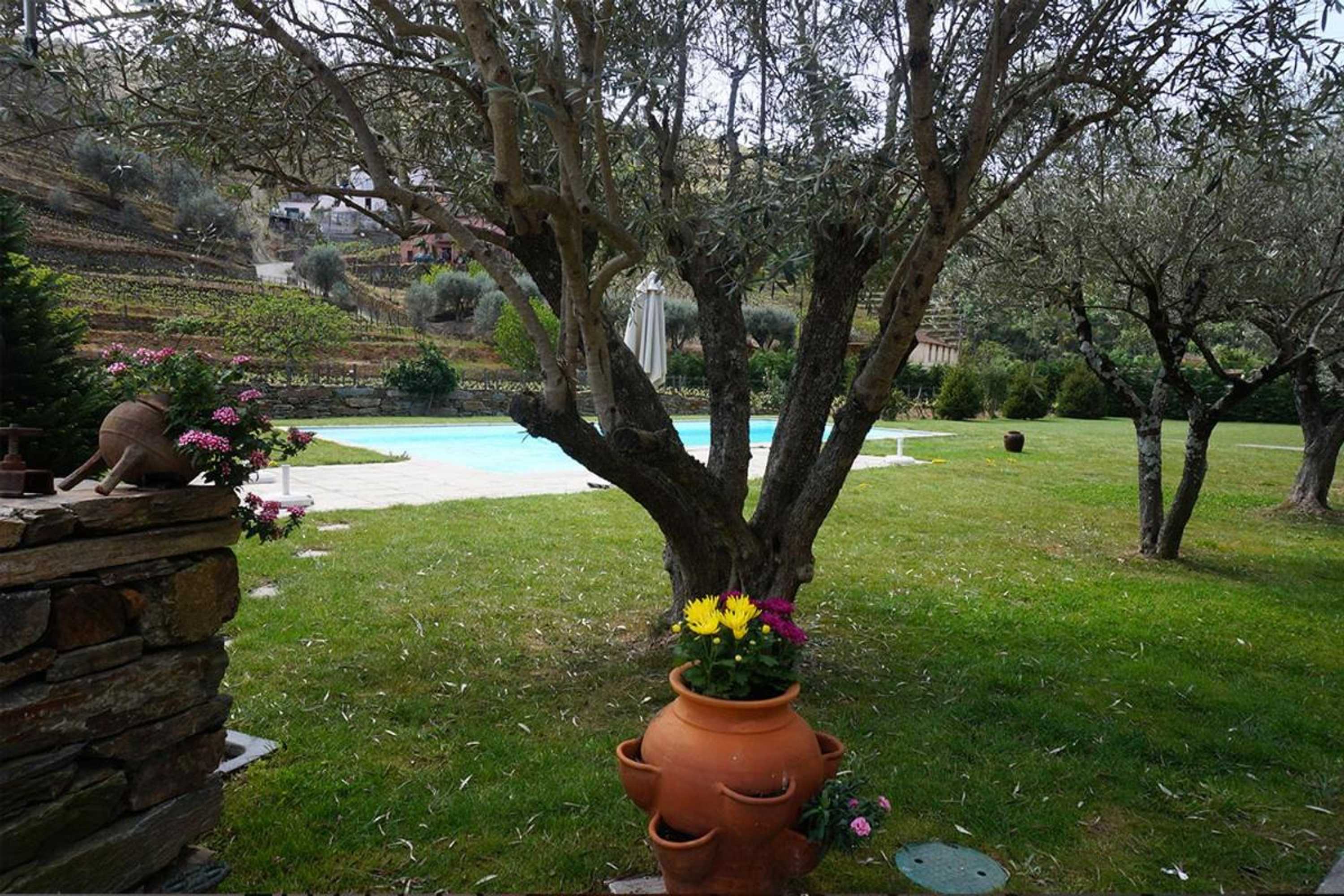 Gift card for Quinta Madureira