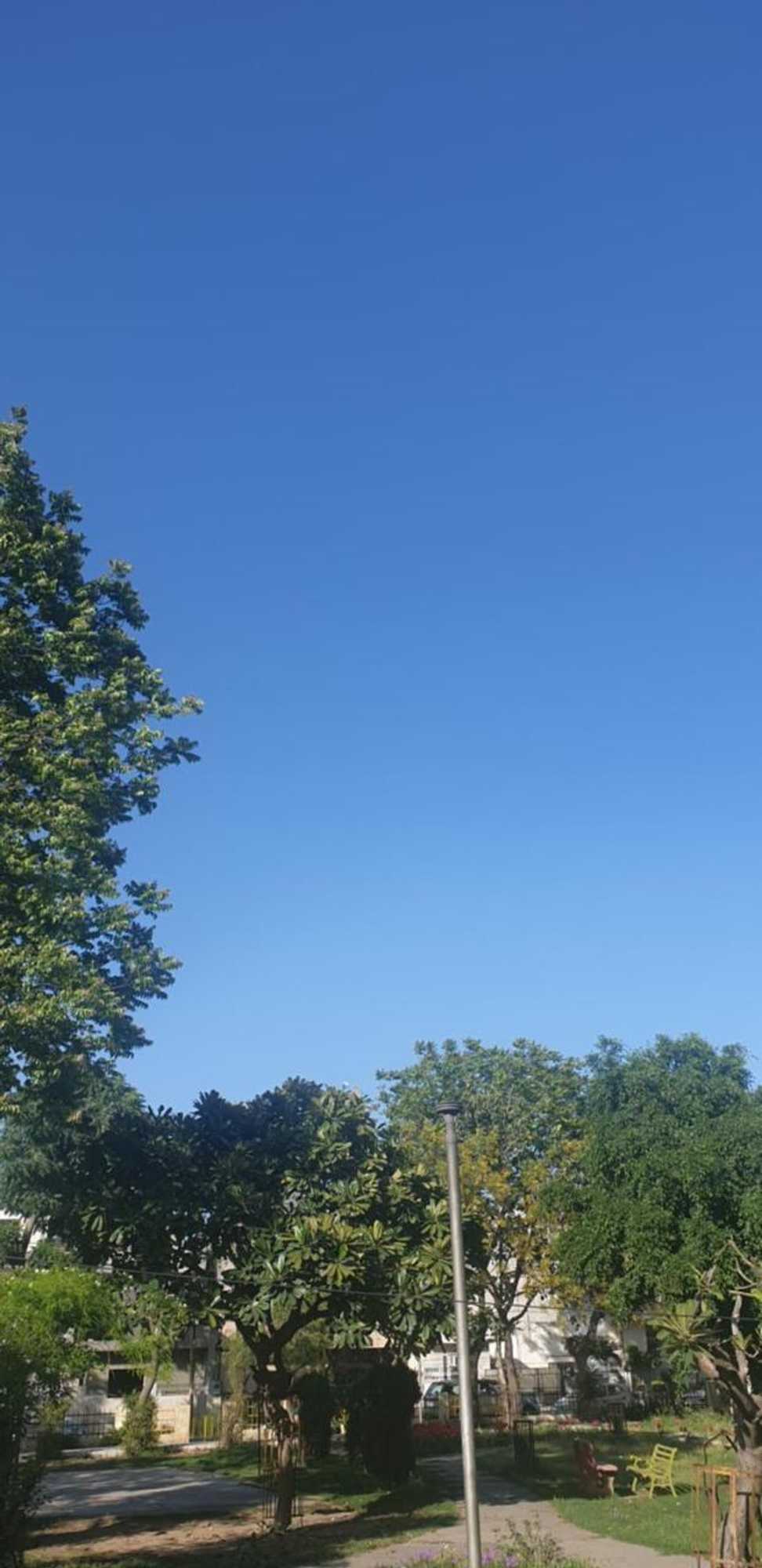 Gift card for Aanantham by Maliks Gift card for Aanantham by Maliks