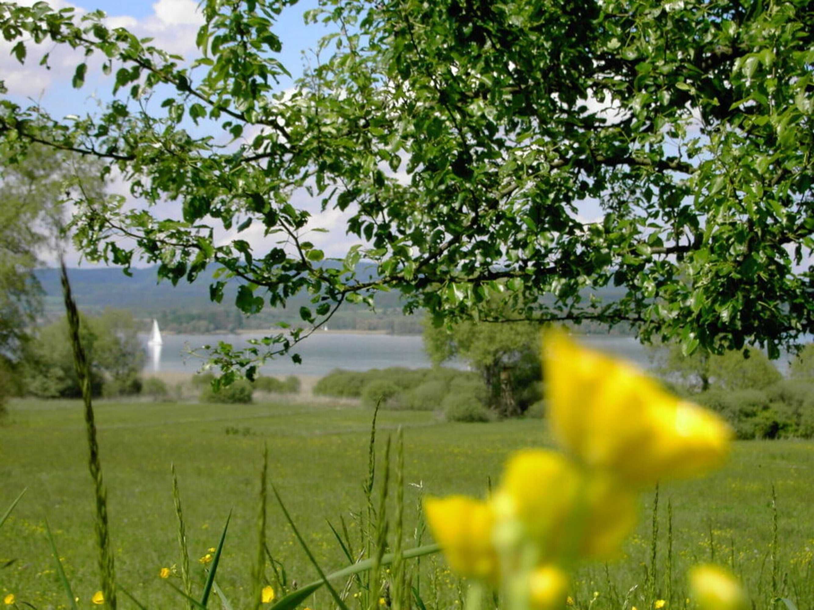 Gift card for Boardinghouse Bodensee