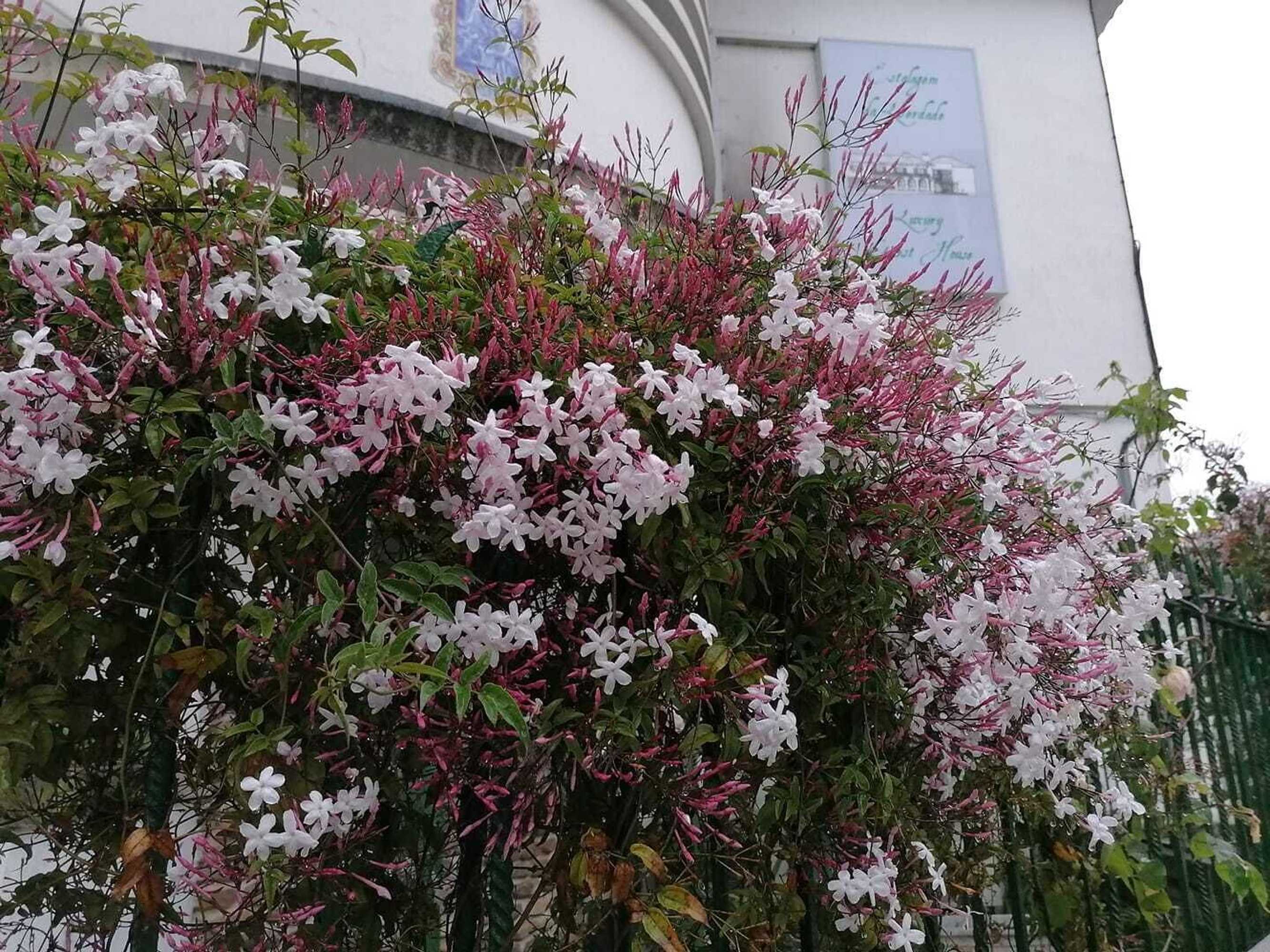 Gift card for Estalagem da Liberdade