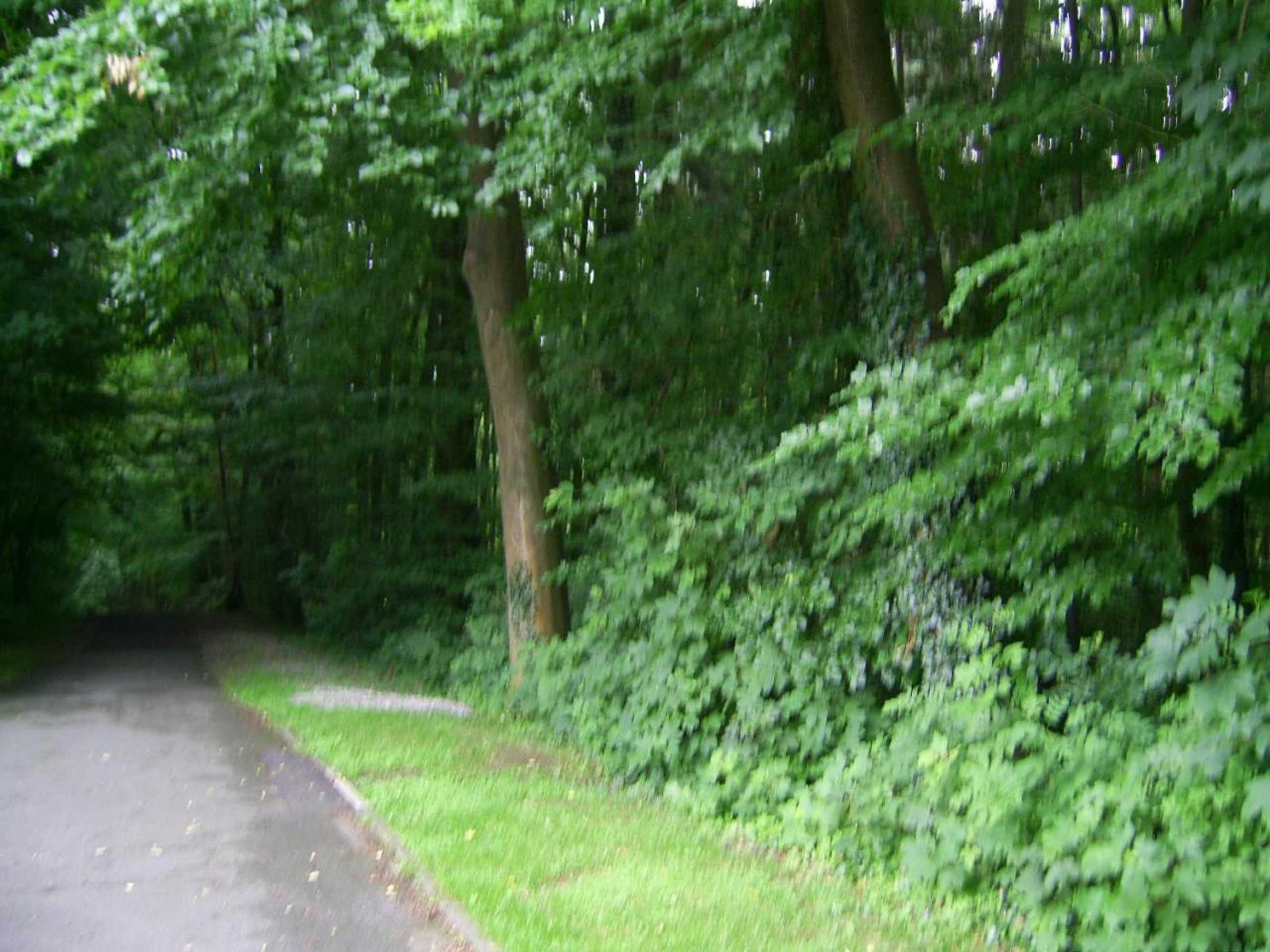 Gift card for Waldpension Bielefeld