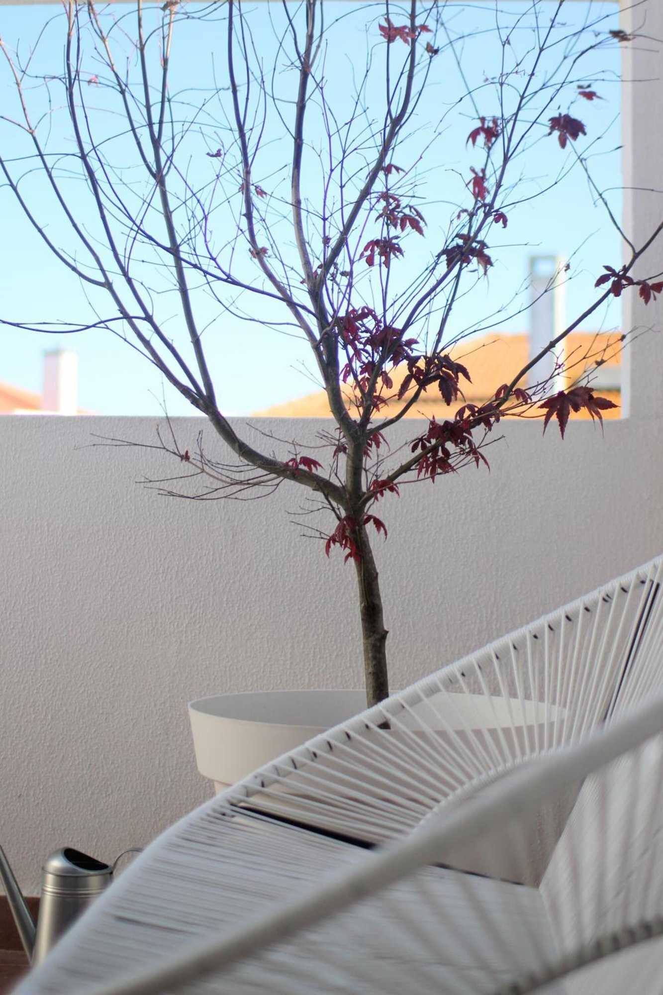 Gift card for Vila Mafra - Grill Terrace