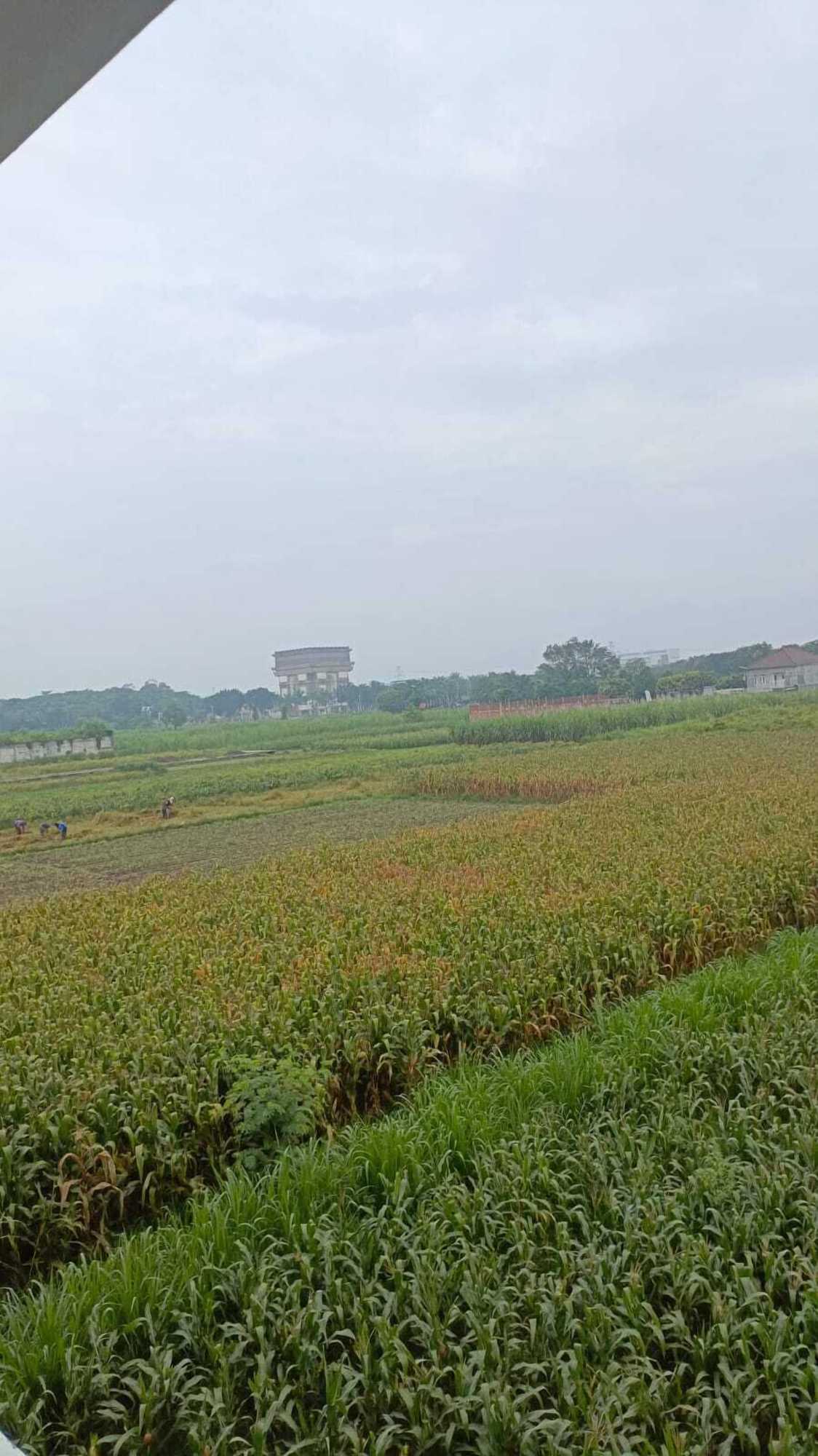 Gift card for RR -2 Syariah Hotel Slg