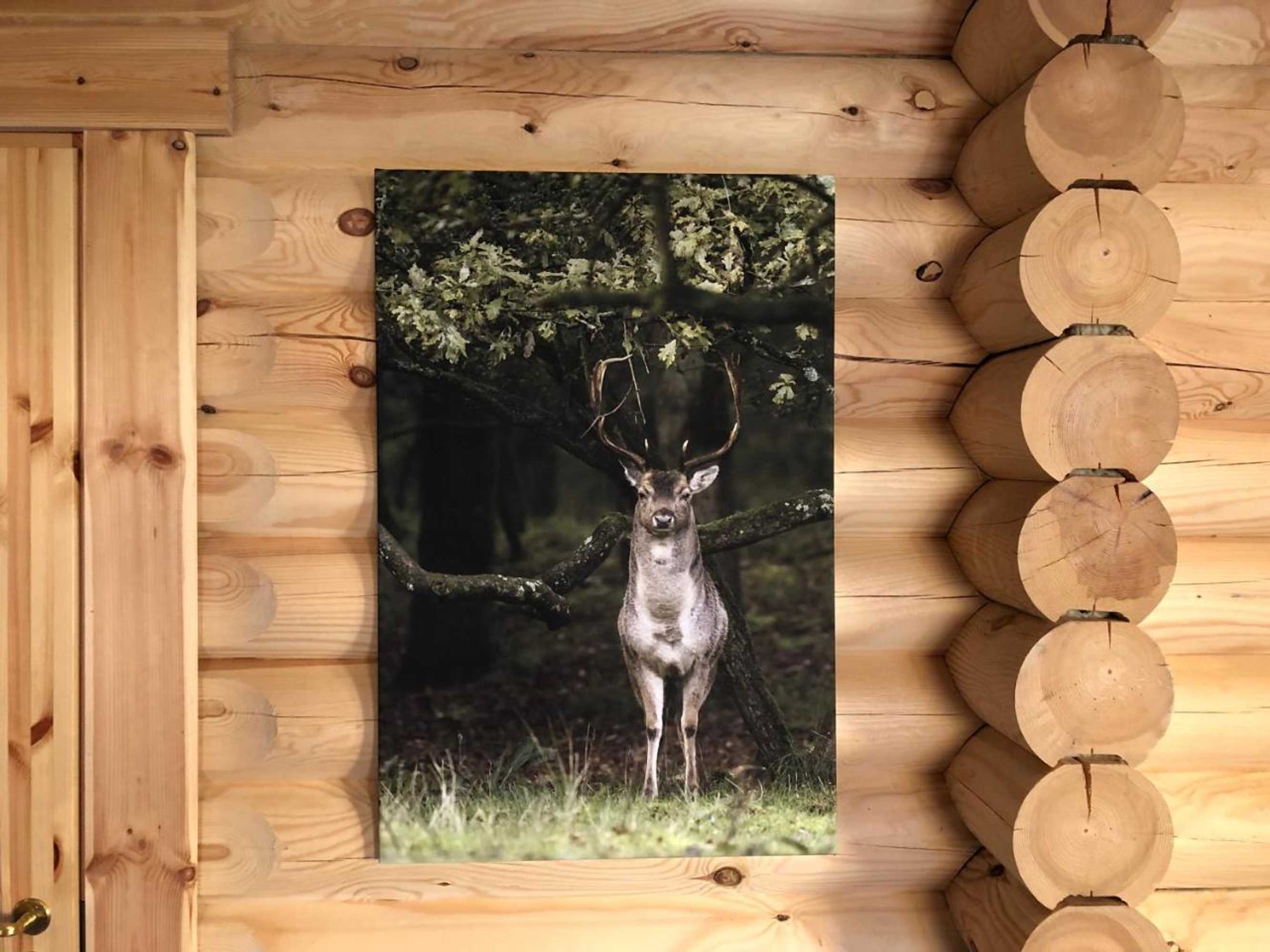 Gift card for Boomstamhuis High Chaparral