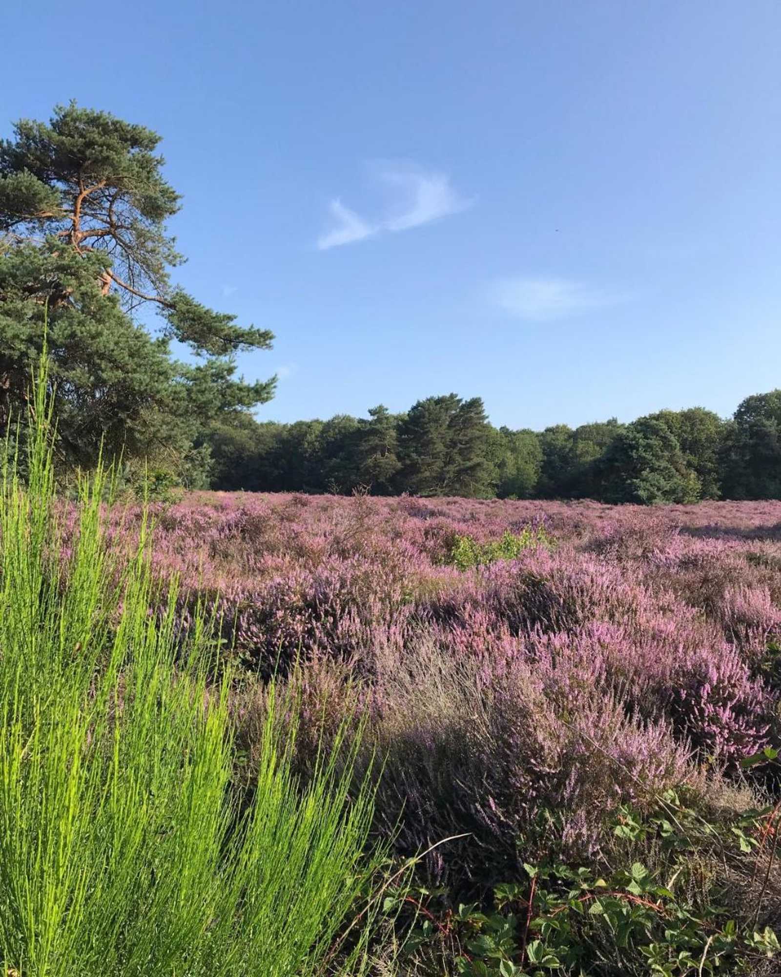 Gift card for Hotel De Werelt Garderen