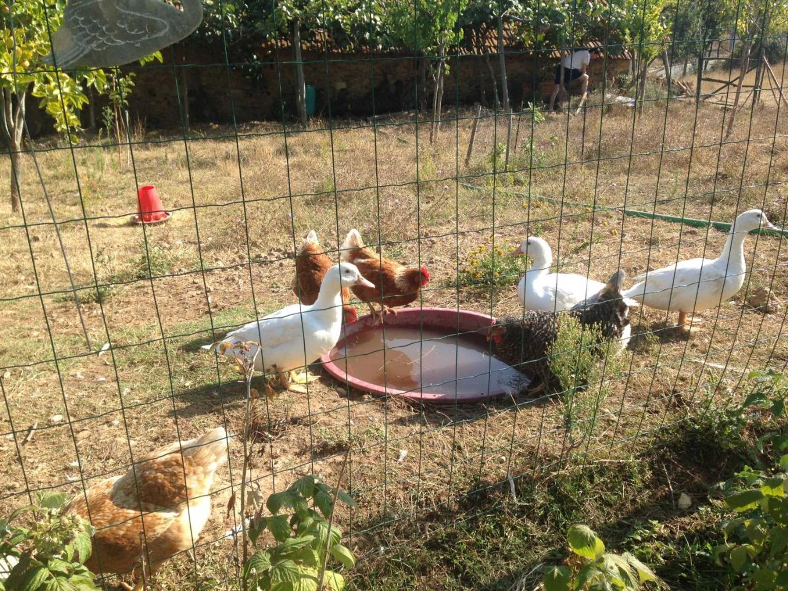 Gift card for Nature Et Al House