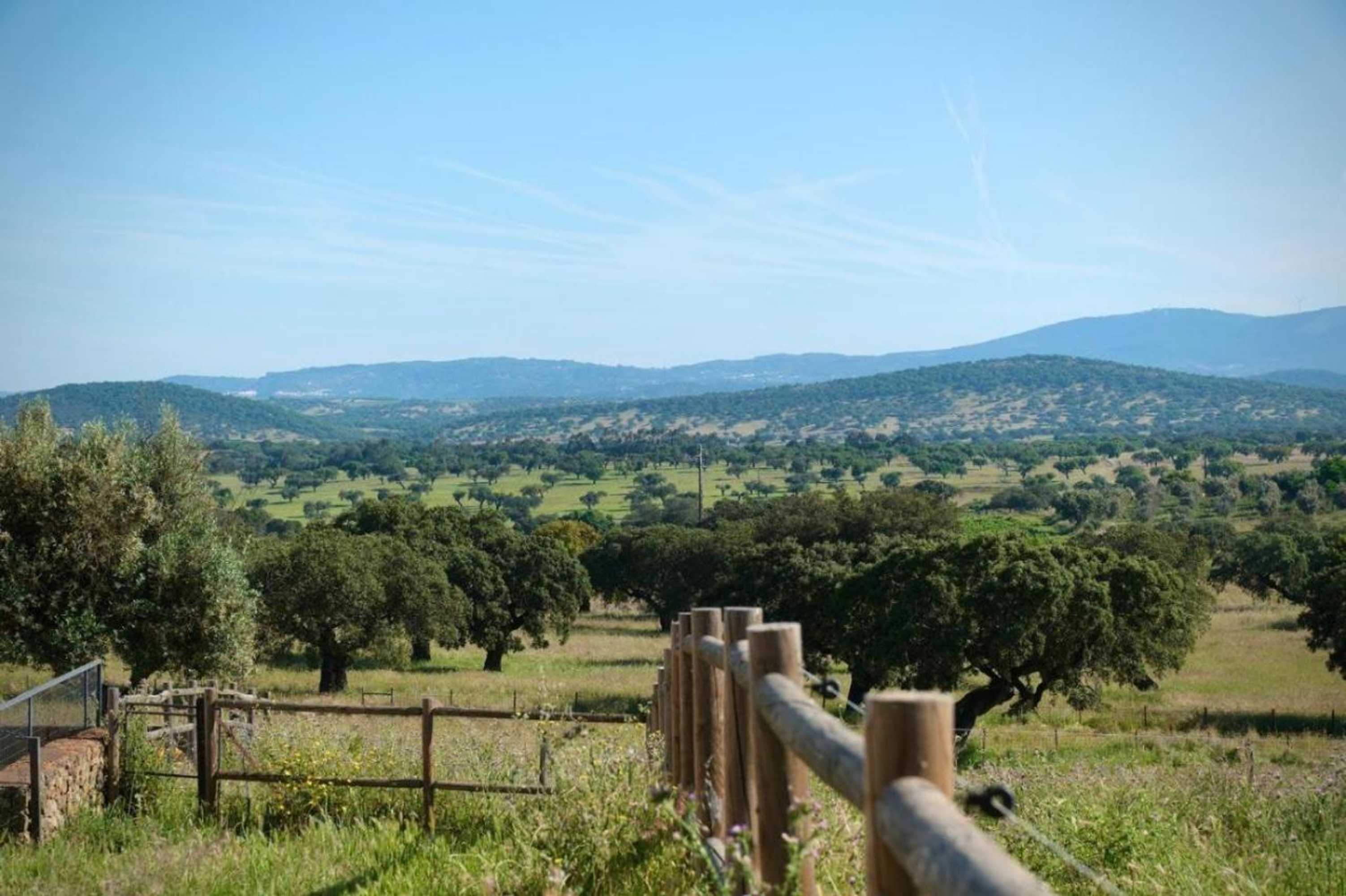 Gift card for Herdade da Carapuça