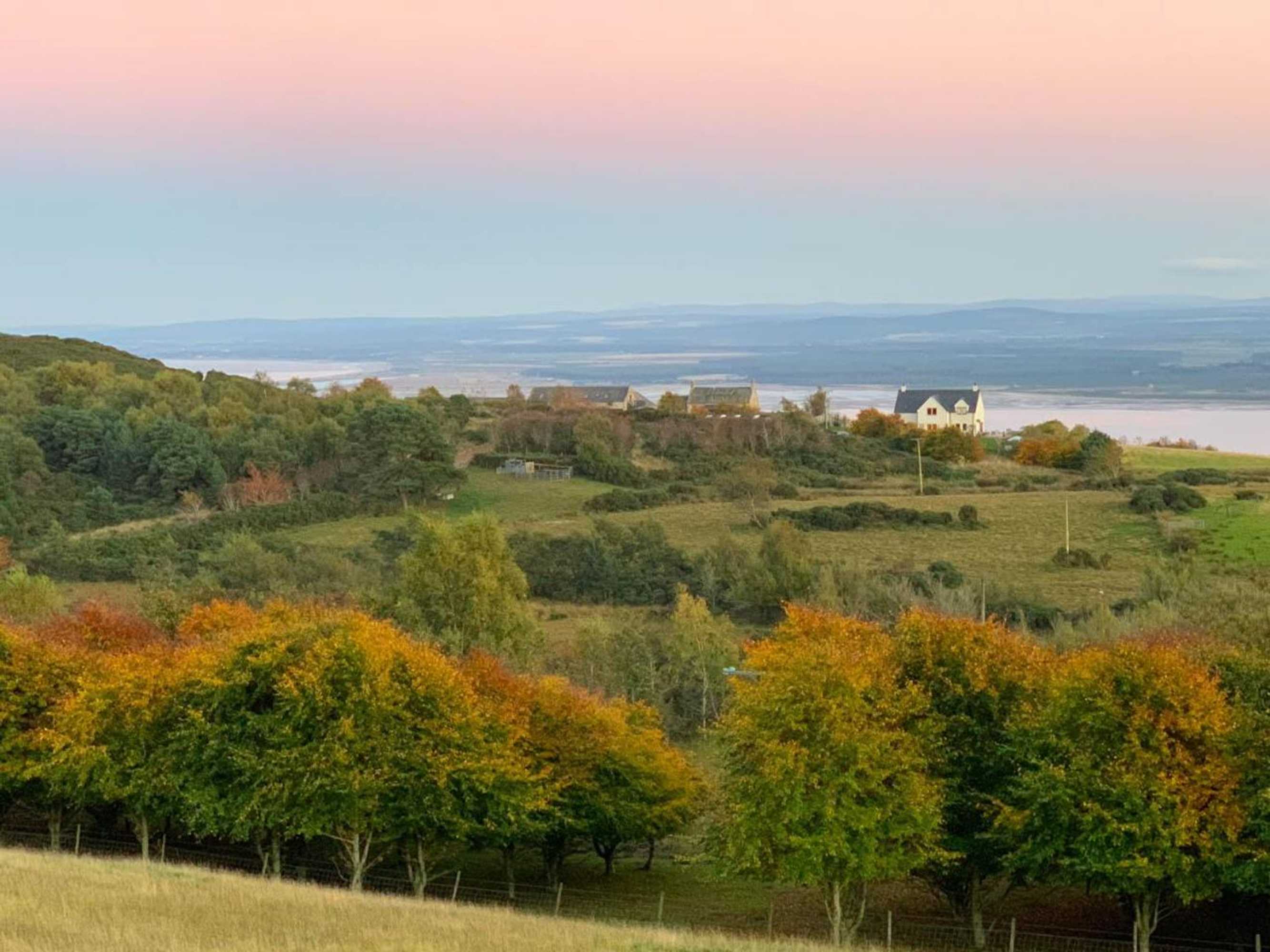 Gift card for Dolphin View Hillockhead