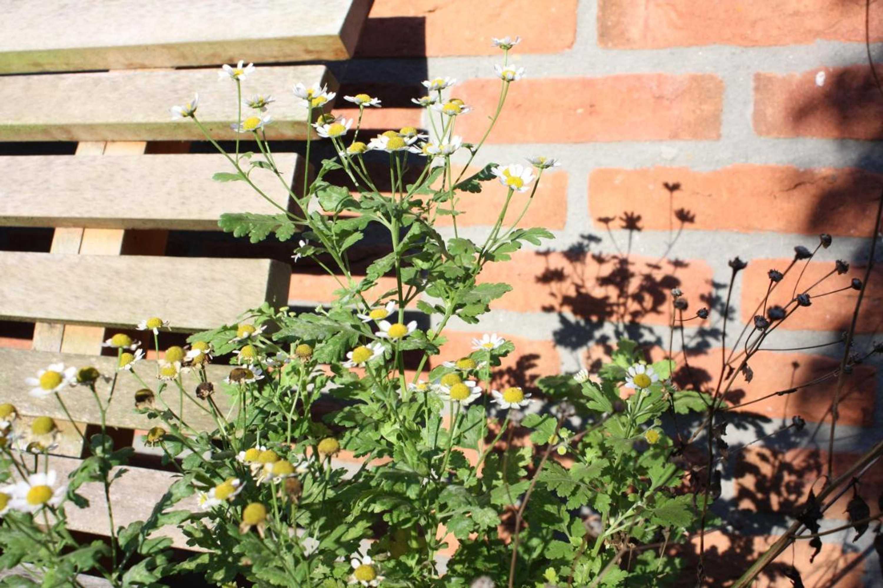 Gift card for B&b Schipborg