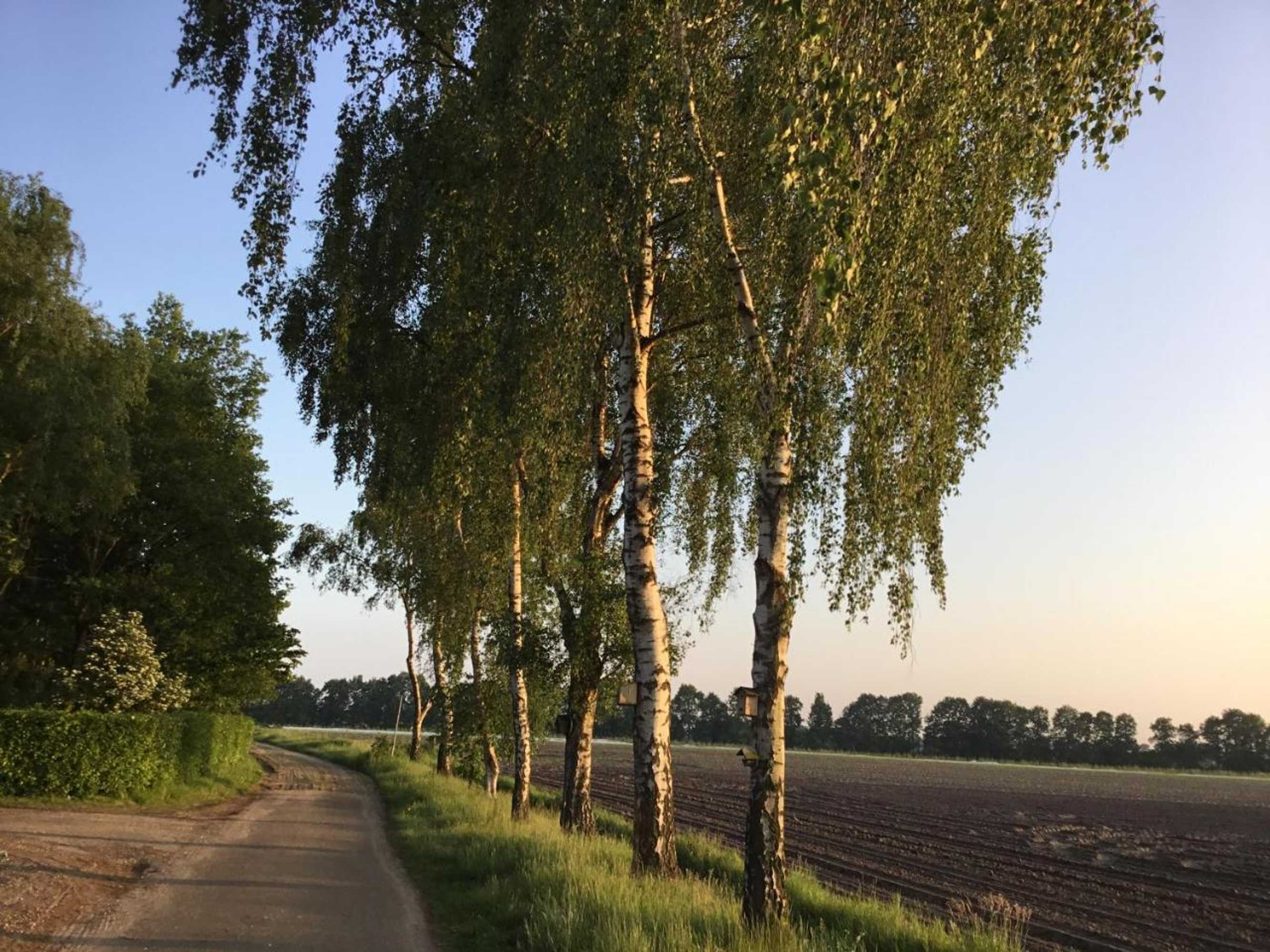 Gift card for B&b Op 't Eikenschoor