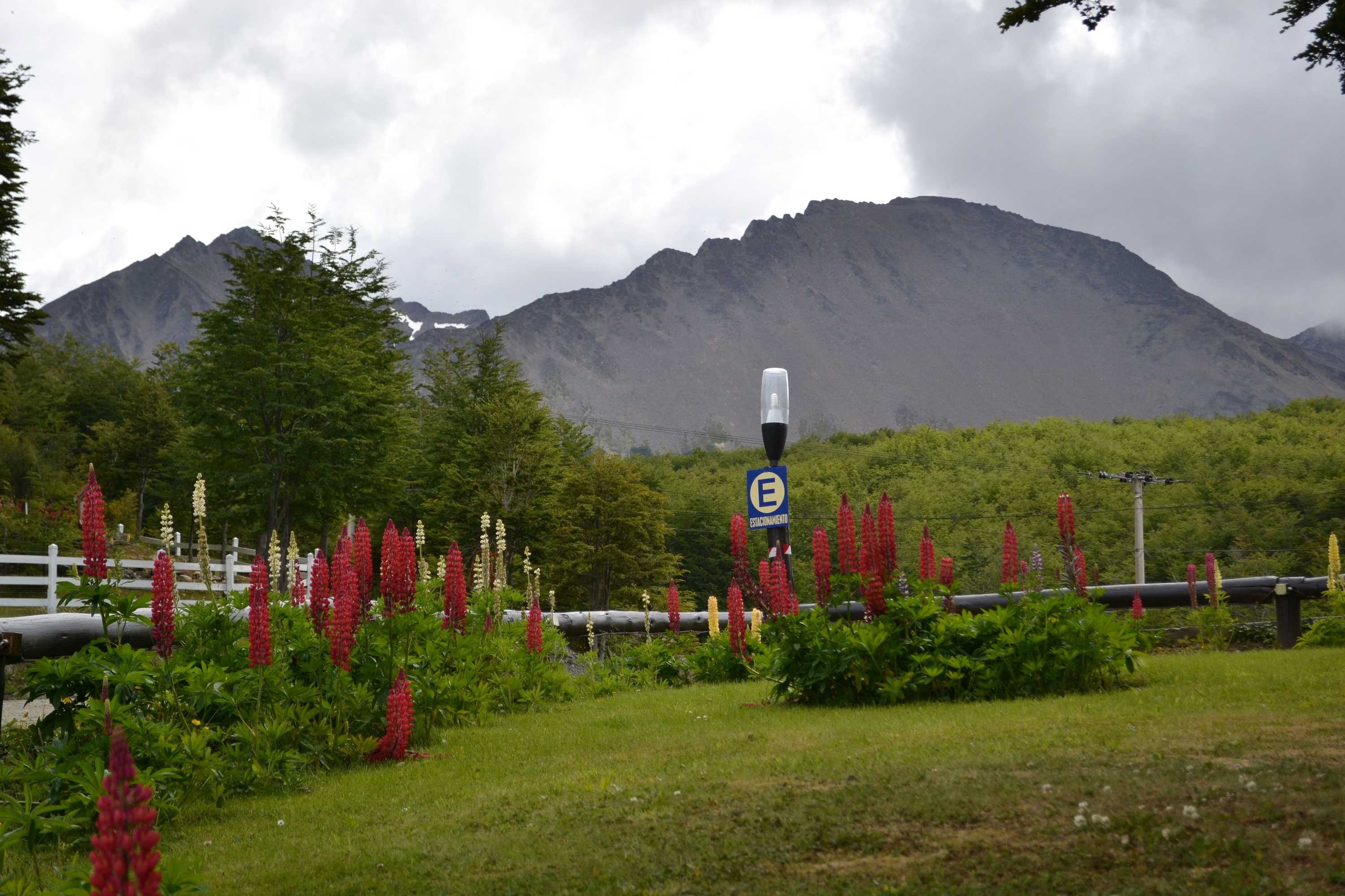 Gift card for Altos Ushuaia Hotel & Resto Gift card for Altos Ushuaia Hotel & Resto