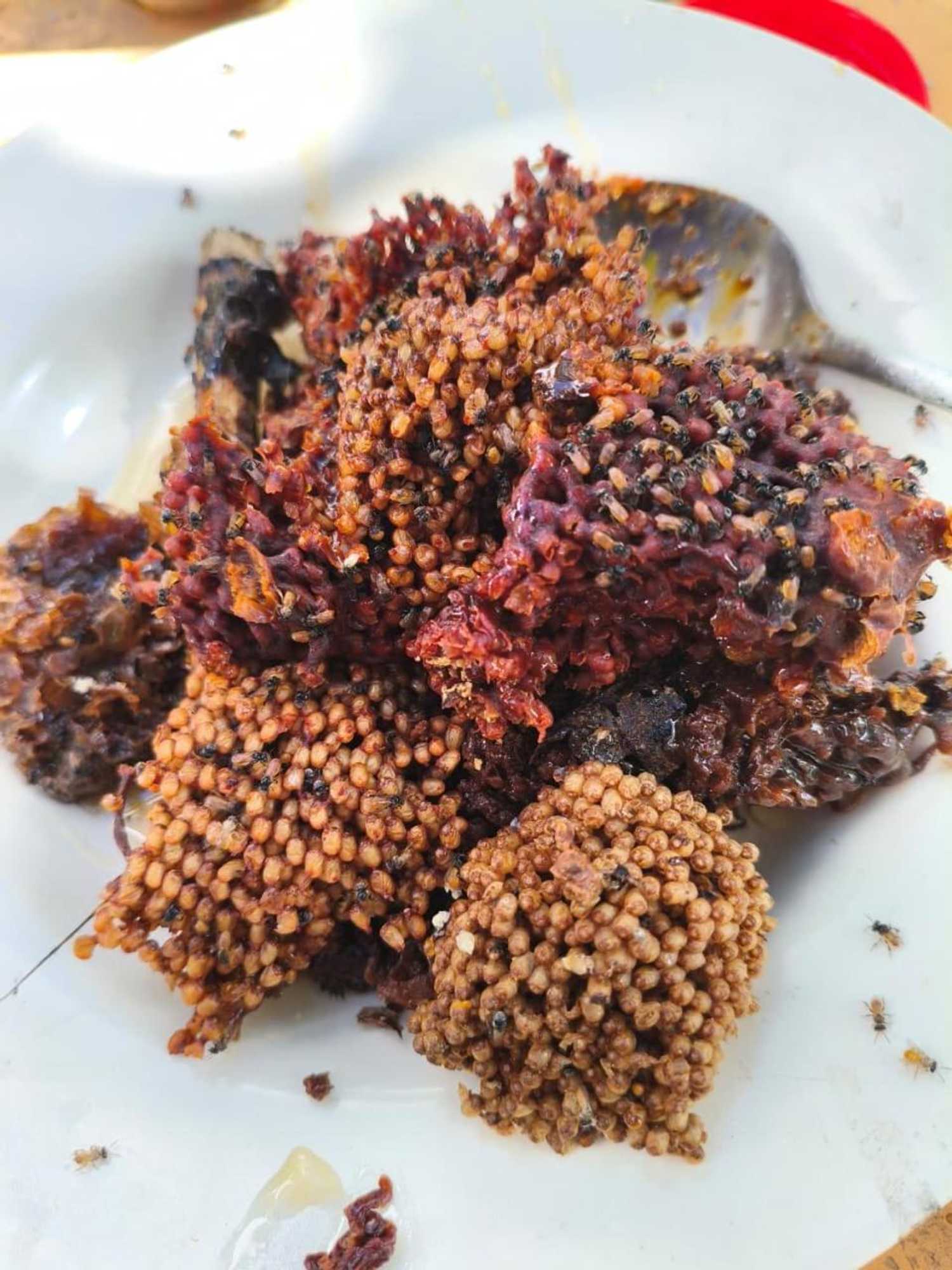 Gift card for Kondo Villa