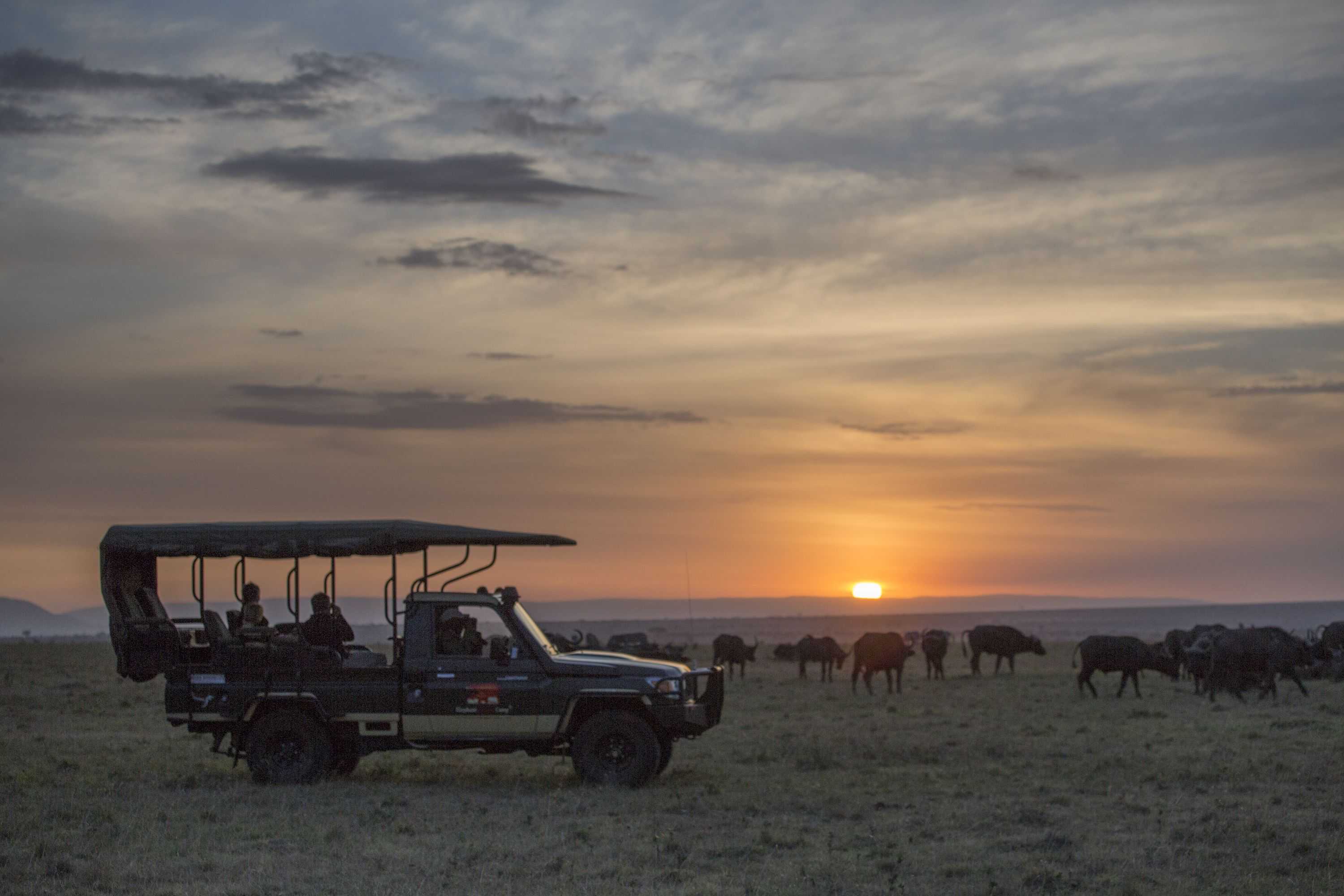 Gift card for Elewana Elephant Pepper Camp Gift card for Elewana Elephant Pepper Camp