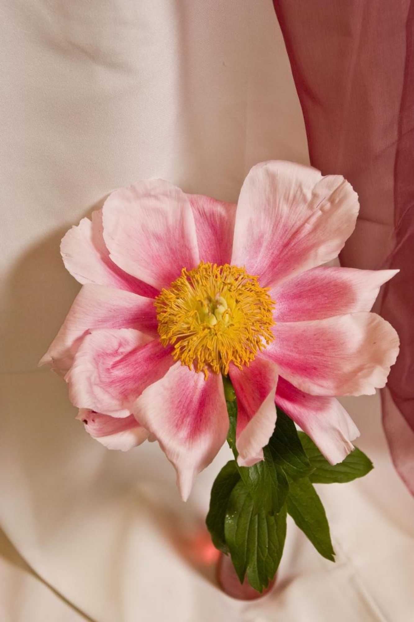 Gift card for Hotel-Restaurant Im Heisterholz