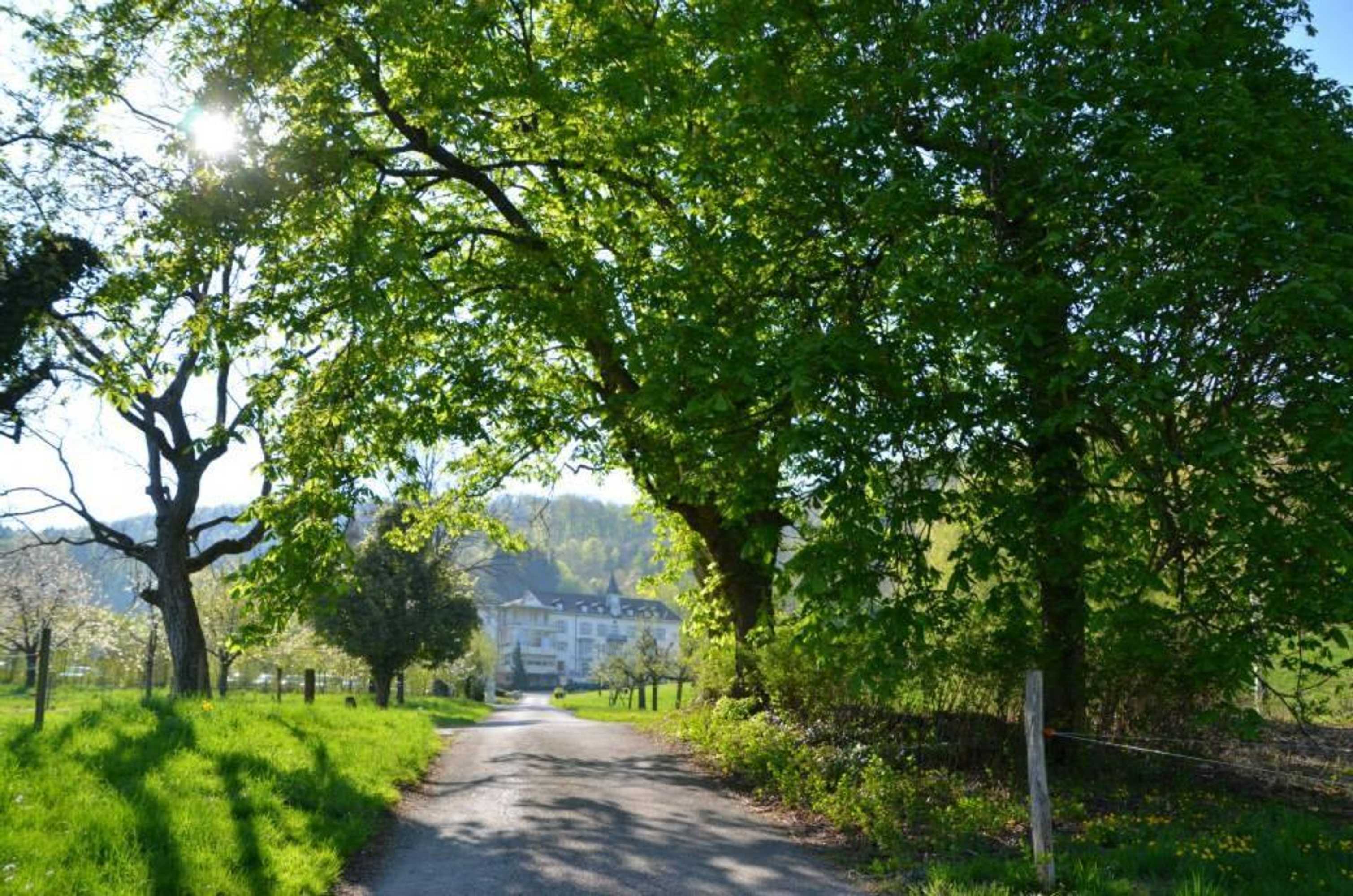 Gift card for Bad Schauenburg