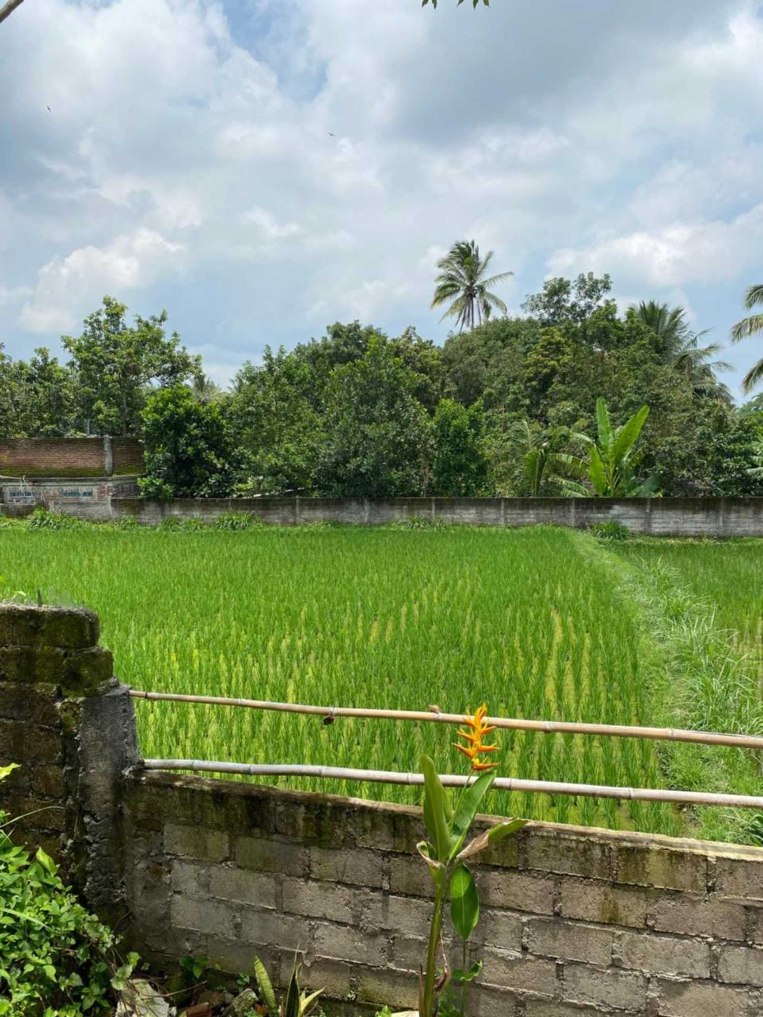 Gift card for Kembang Kuning Cottages