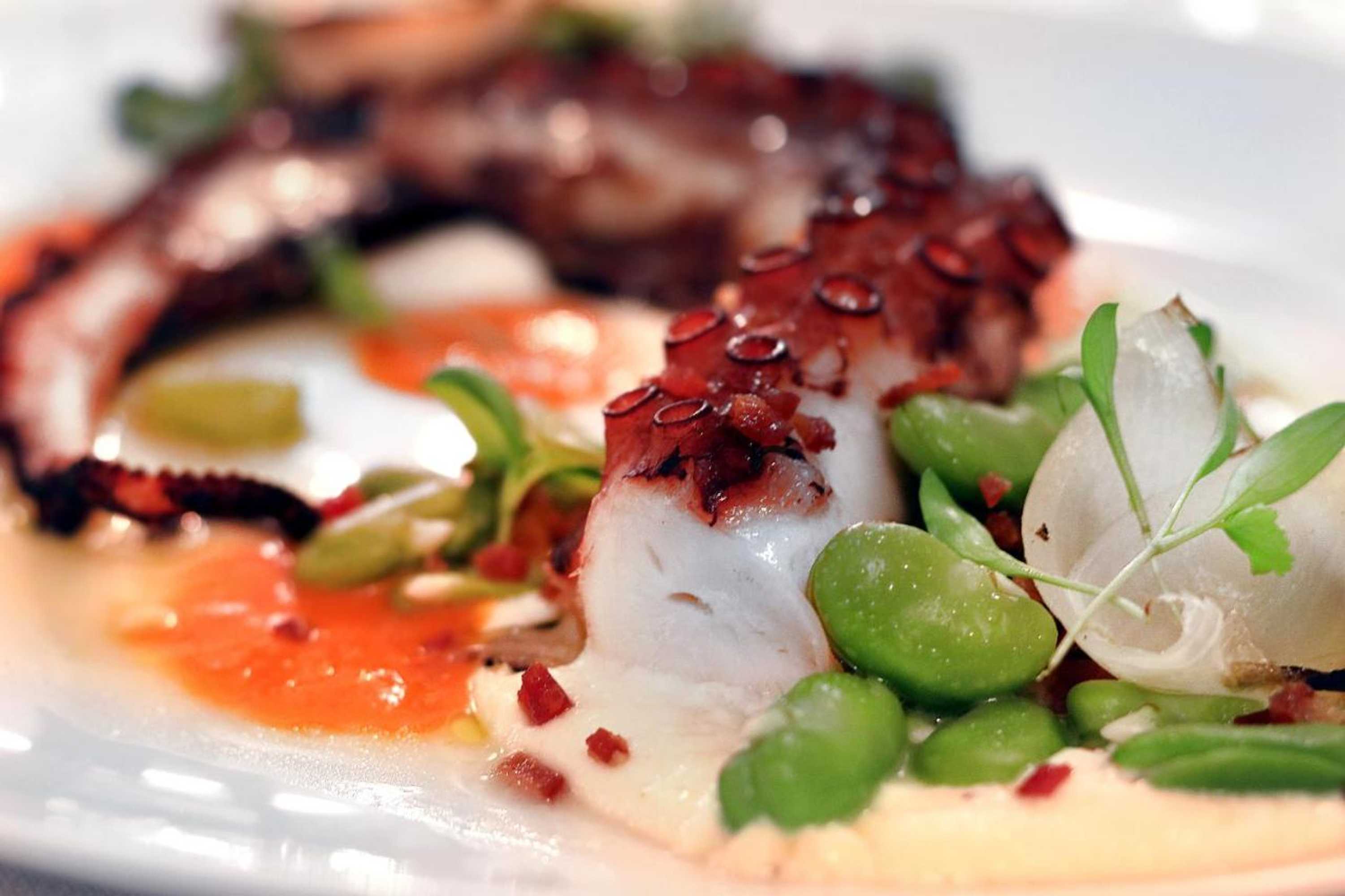 Gift card for Casas da Lapa Nature And Spa