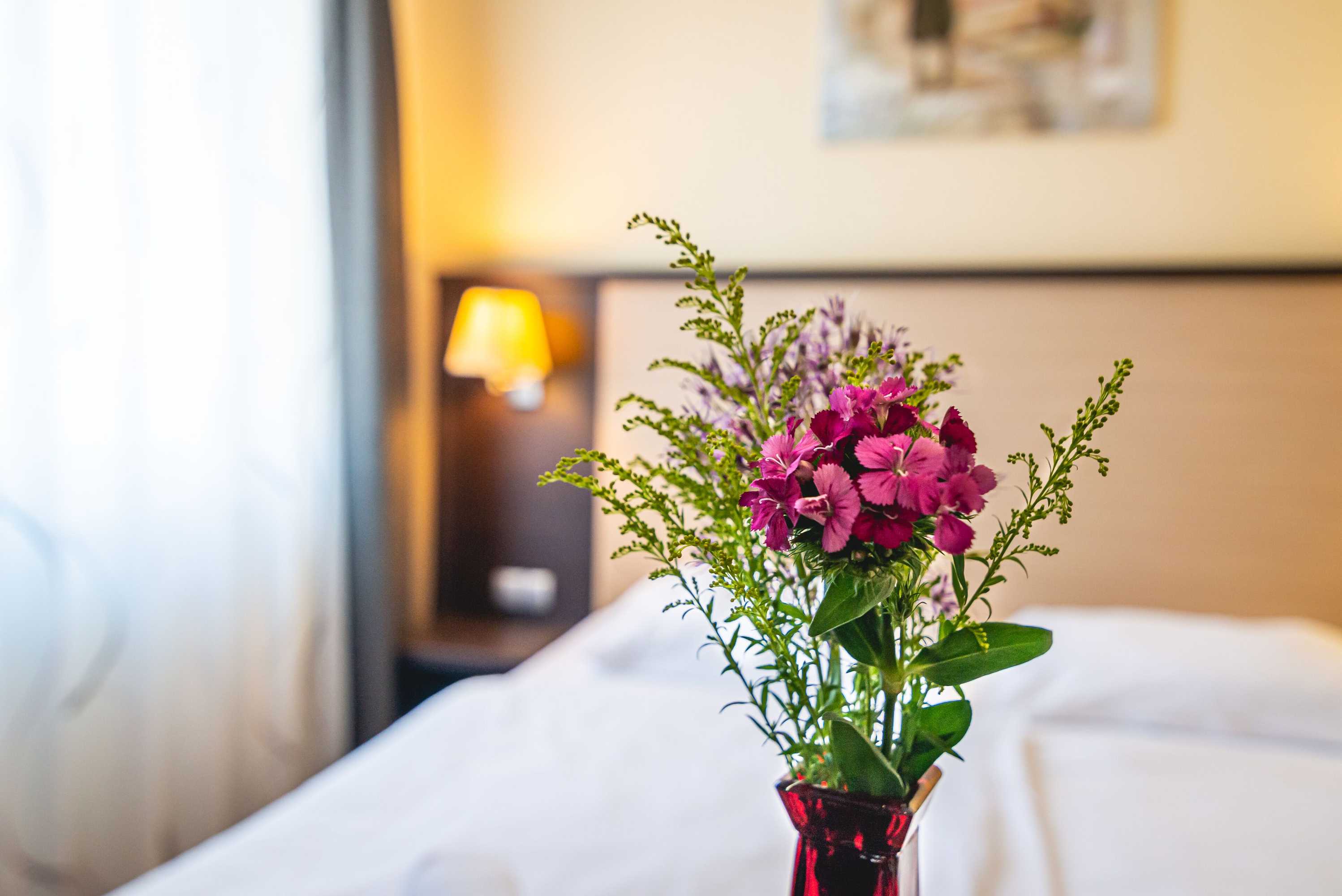 Gift card for Casino & Hotel Admiral Ptuj Gift card for Casino & Hotel Admiral Ptuj