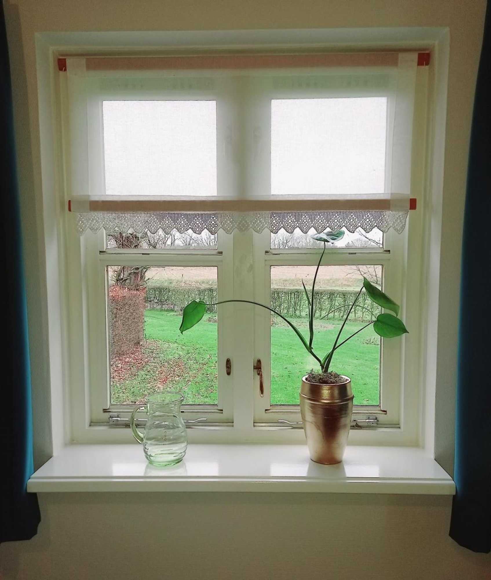 Gift card for Bed & Breakfast de Wandhorst