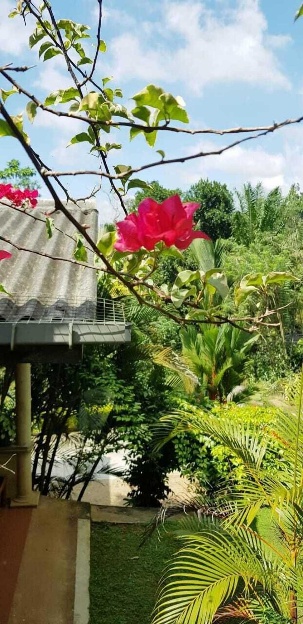 Gift card for Tea Leaf Retreat Peradeniya Gift card for Tea Leaf Retreat Peradeniya