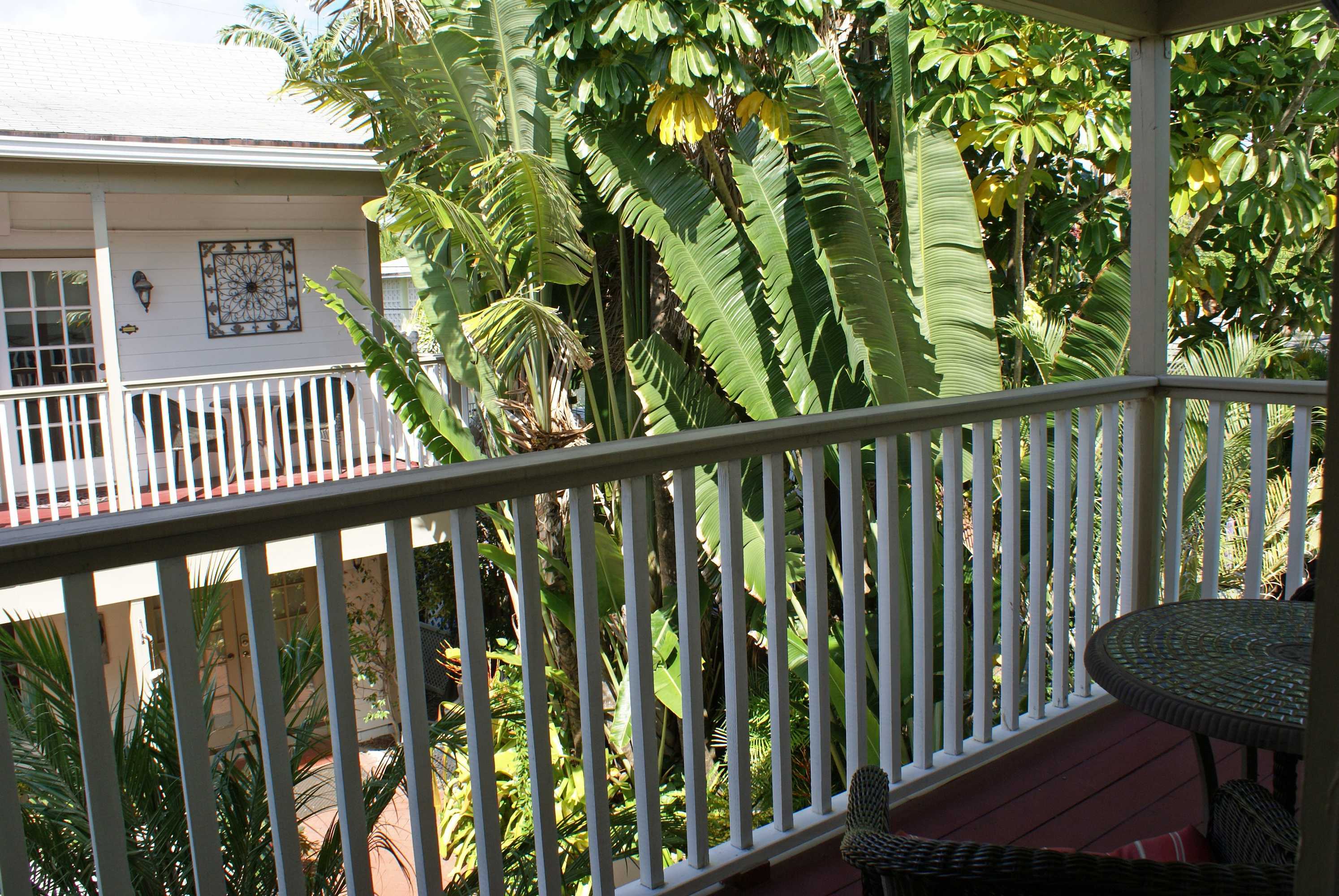 Gift card for Sabal Palm House Bed & Breakfast Gift card for Sabal Palm House Bed & Breakfast