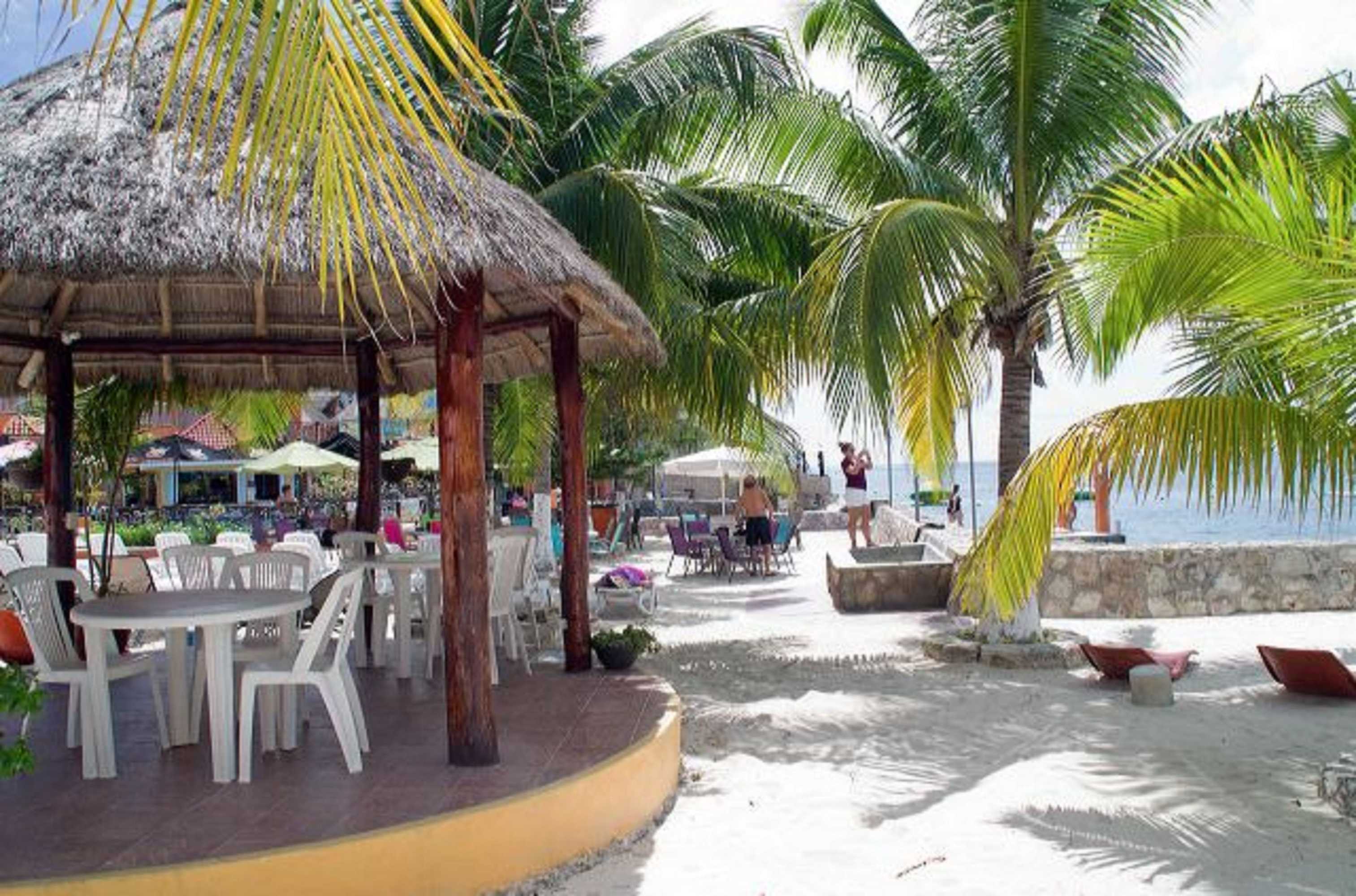 Gift card for Hotel Barracuda Cozumel Gift card for Hotel Barracuda Cozumel